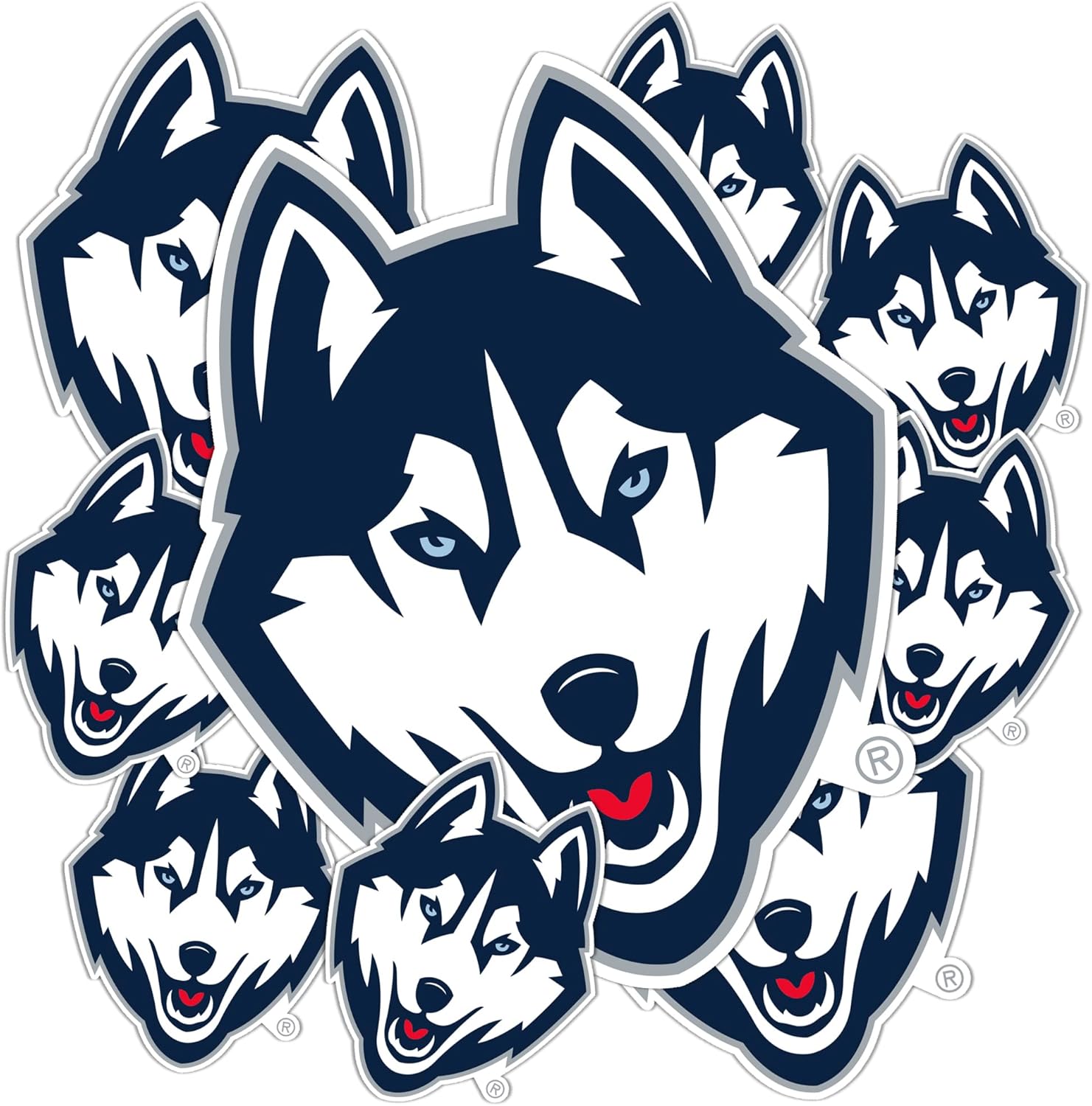 Desert Cactus University of Connecticut Sticker Huskies UConn Vinyl Decals Laptop Water Bottle Car Scrapbook T3 (Type 3-1)