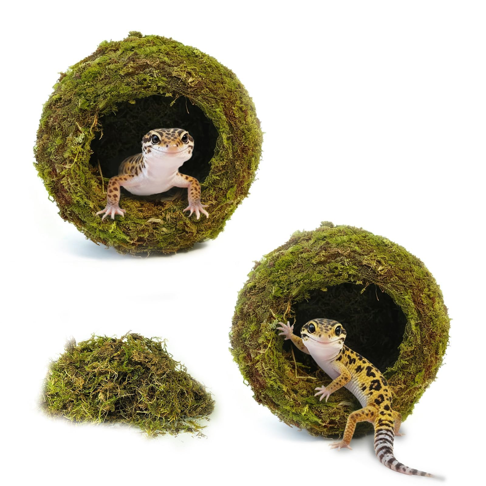 2 escondites de cueva de musgo verde húmedo, un accesorio natural y seguro para tanque de geco crestado, decoración perfecta para terrario y vivero con musgo para lagarto, rana
