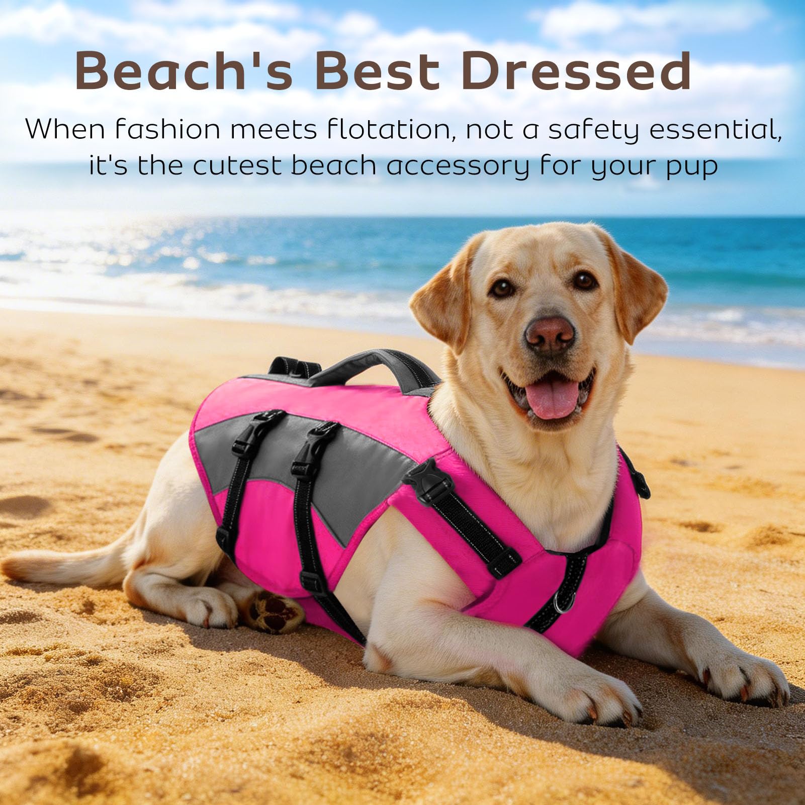 CITÉTOILE Hunde Schwimmweste mit Griff und Reflektierend, Einstellbare Rettungsweste für Kleine Mittel Große Hunde, Langlebigem für Wassersport Schwimmen und Bootfahren, Rosa, M