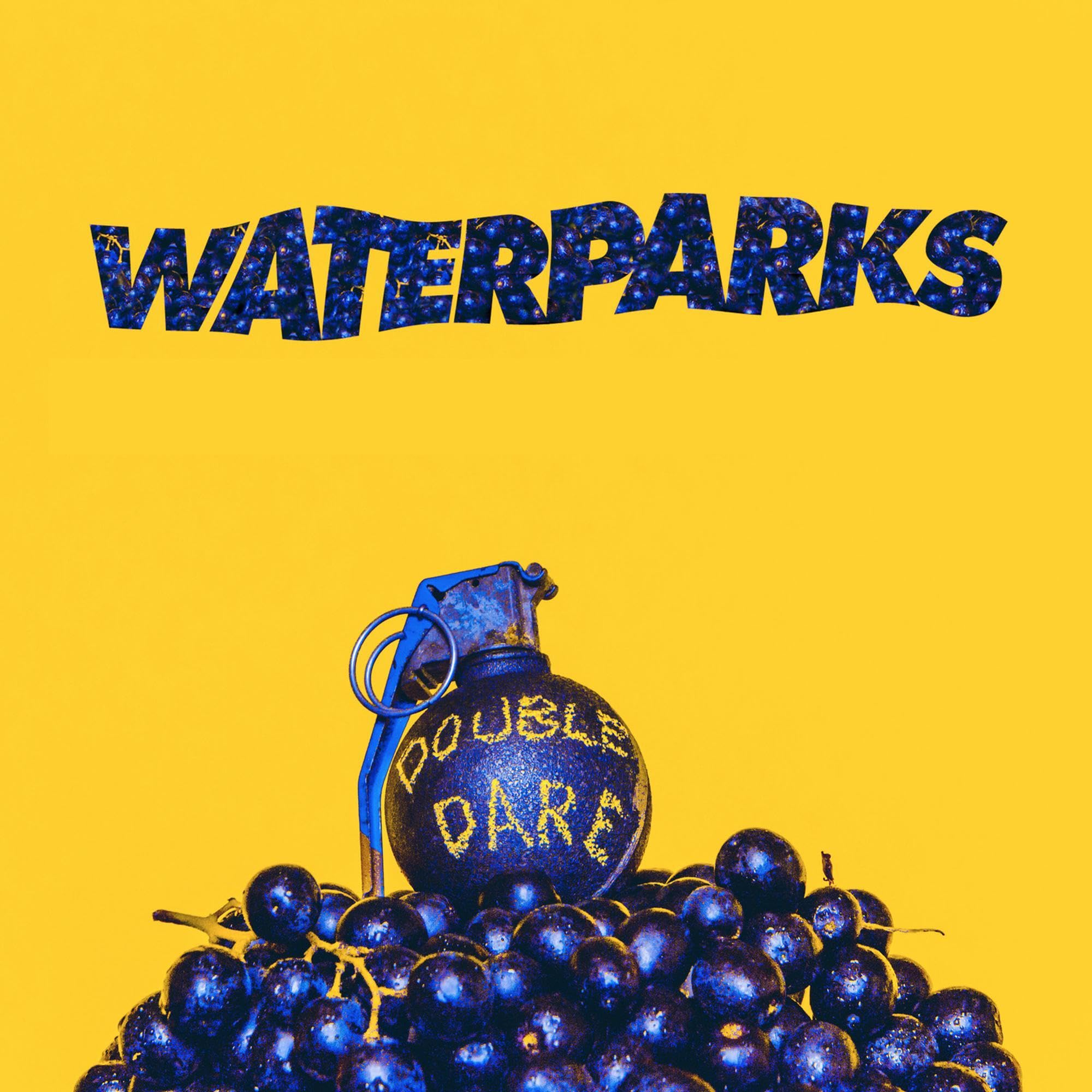 洋楽 Waterparks Double Dare Entertainment CD Amazon.co.jp: Double Dare: ミュージック