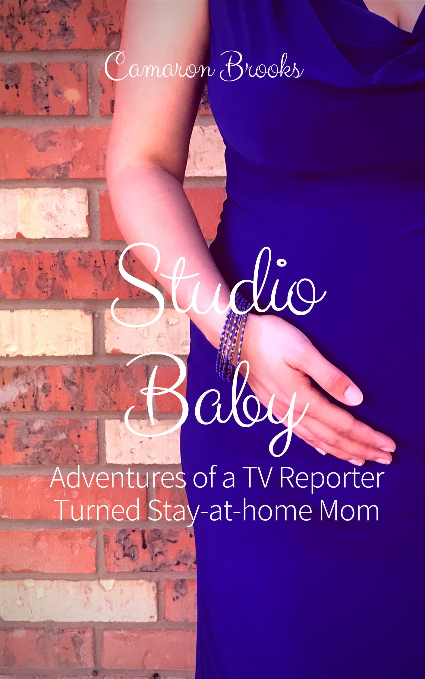 Studio Baby: Adventures of a TV Reporter Turned Stay-at-home Mom
