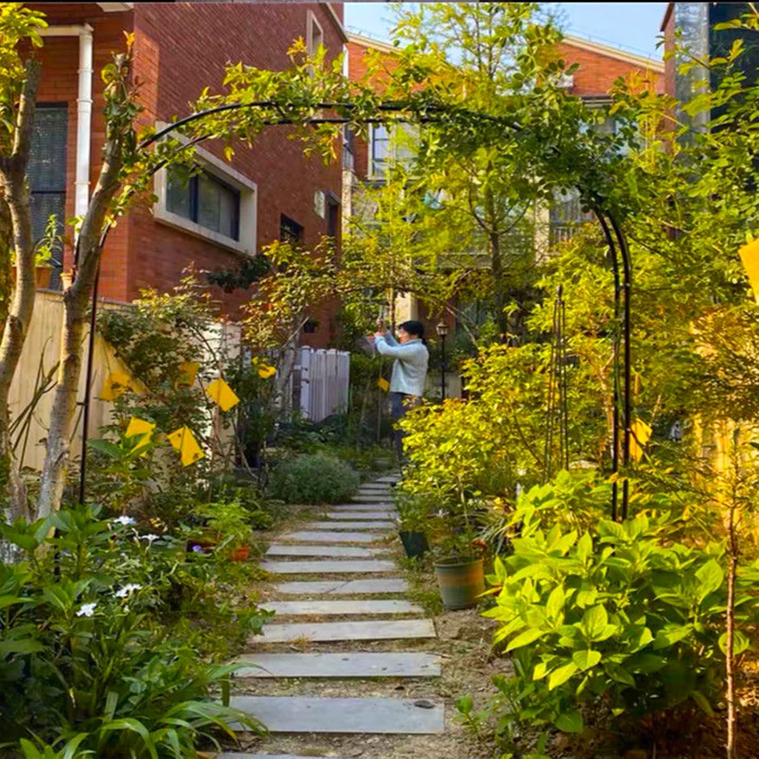 Garden Arch Trellis, garden arbor, Metal rose climbing support frame, stable structure and easy climbing, outdoor auxiliary decoration with weatherproof base ( Color : White , Size : 80x200x40CM )