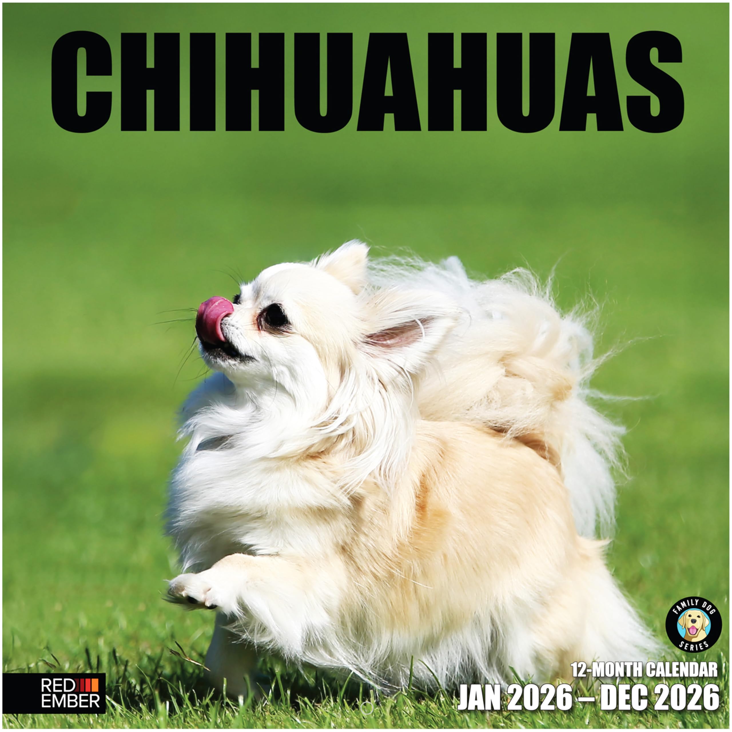 RED EMBER Chihuahuas 2026 Wall Calendar 12 Month | 12" x 24" Open | Thick & Sturdy Paper | Giftable | Calendar 2026