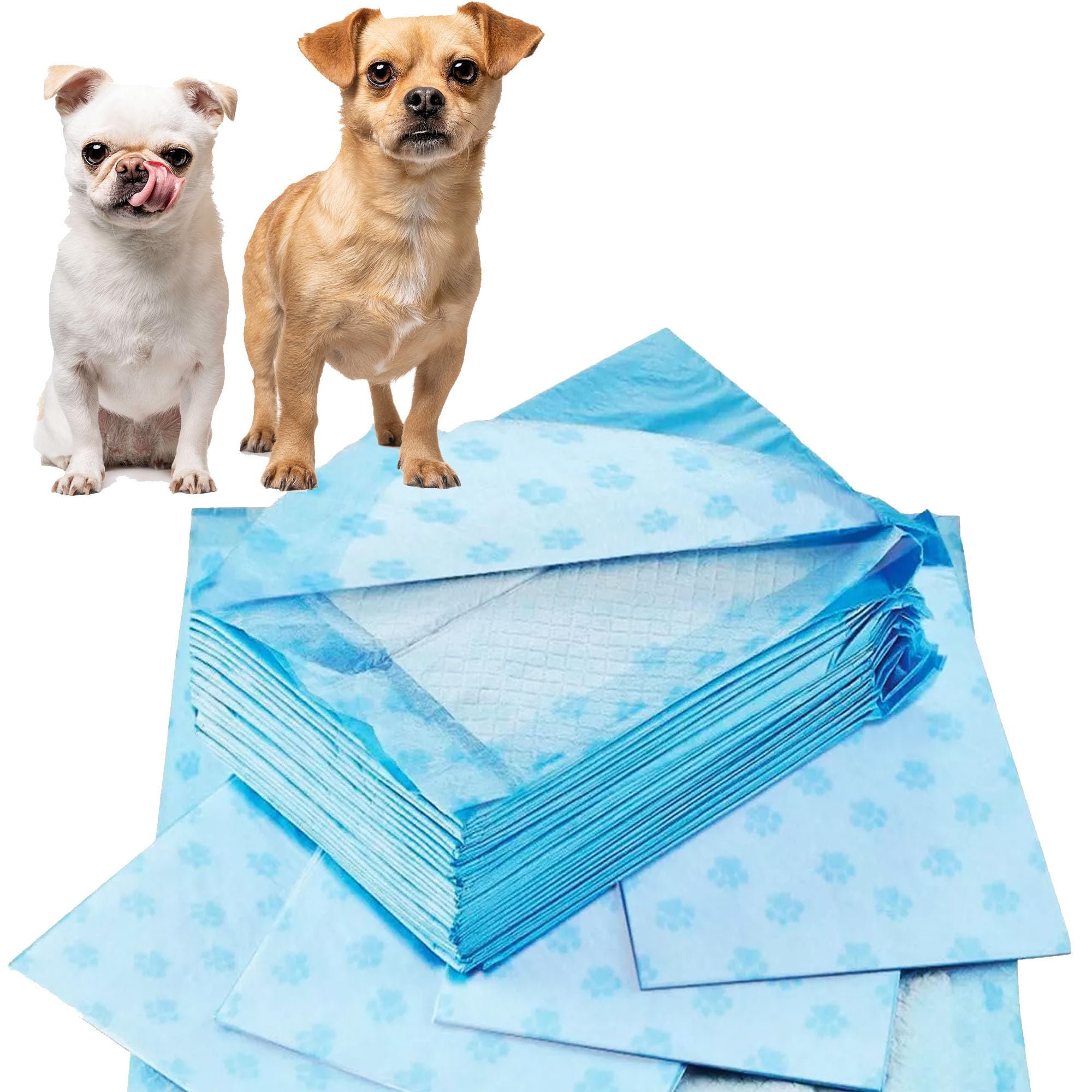 Pack of 100 Dog & Puppy Training Pads Leakproof 60cm x 40cm With Quick-Dry Surface Regular