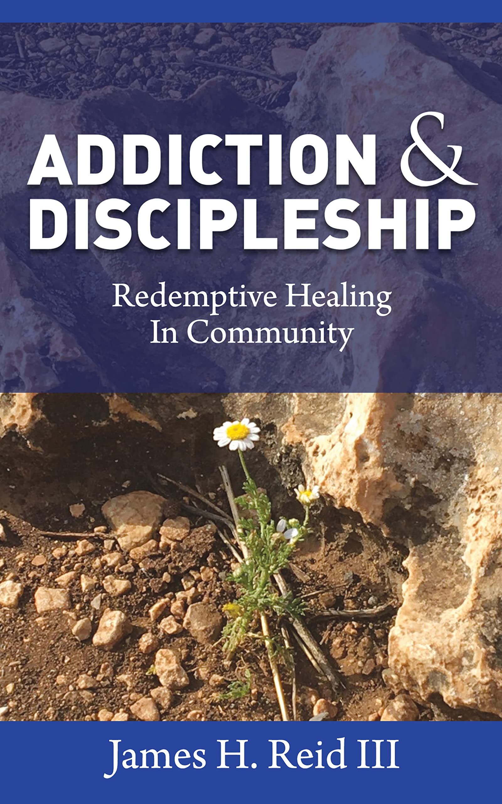 Addiction & Discipleship: Redemptive Healing In Community