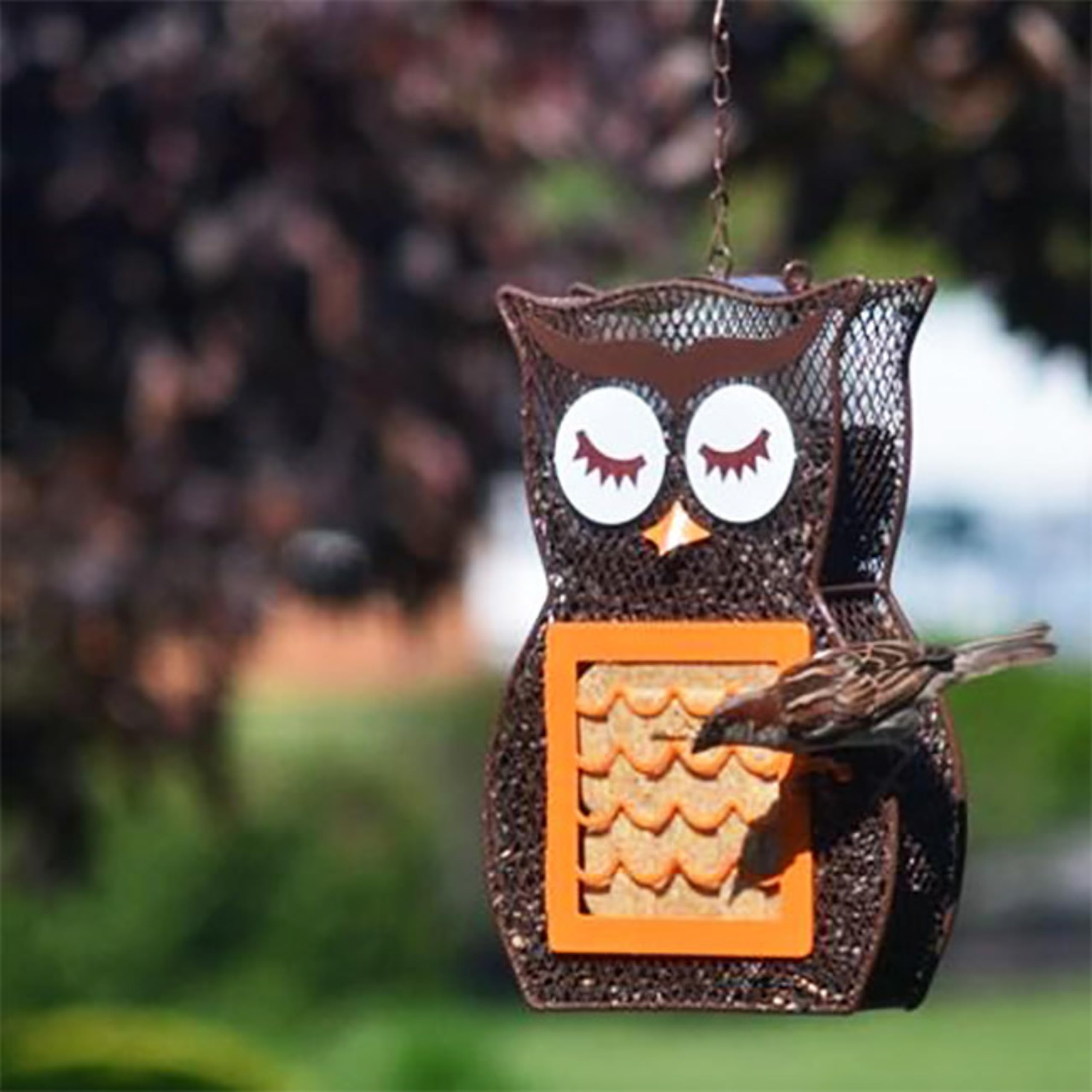 Mangiatoia per uccelli Whimsical Owl Suet 'n Seed per torte di