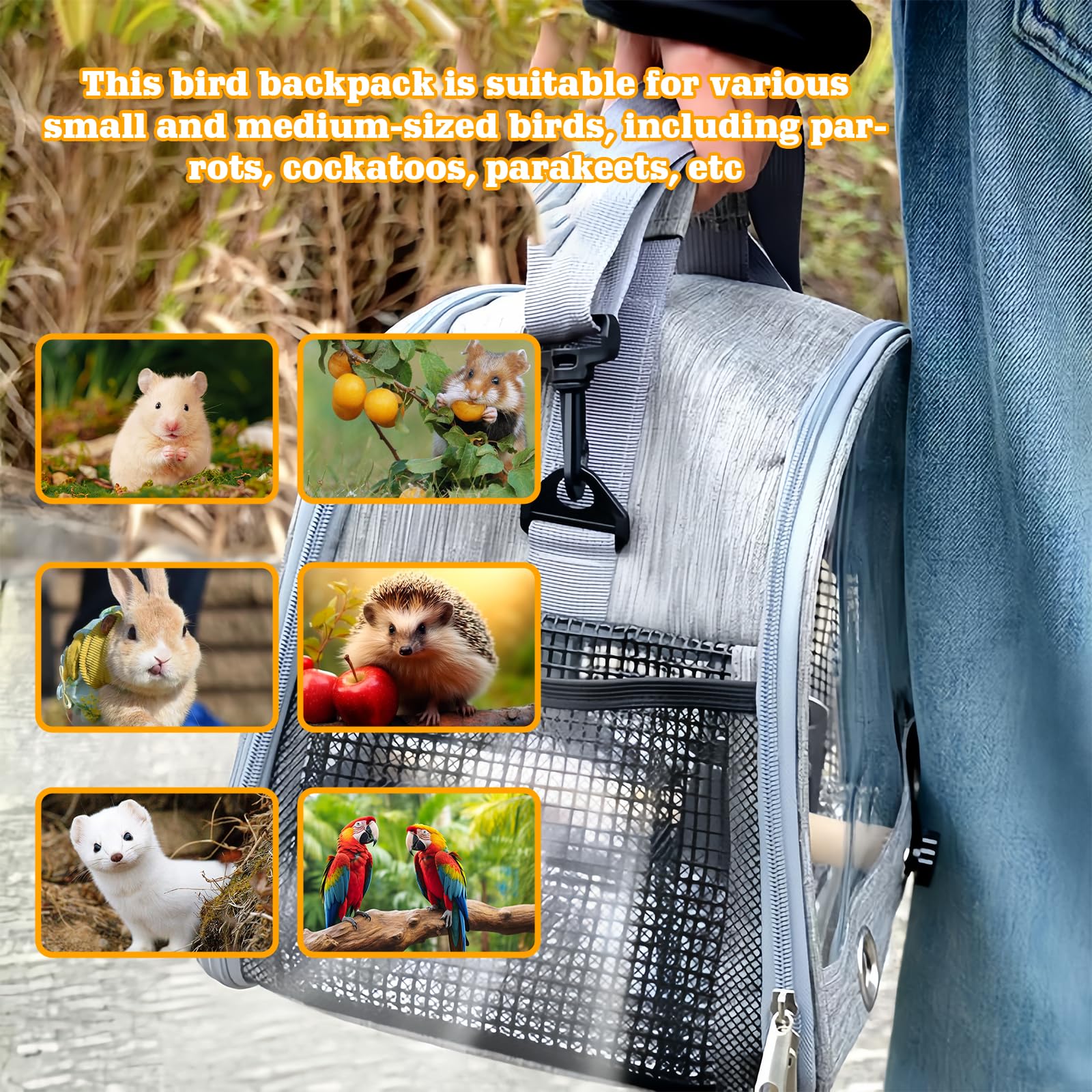 Bordeag Borsa Da Trasporto per Uccelli, Borsa Da Viaggio per Pappagallo, Gabbia Da Viaggio Portatile Zaino Uccelli Zaino Con Posatoio In Piedi Vassoio In Acciaio Inox Per Pappagallo Parrocchetto