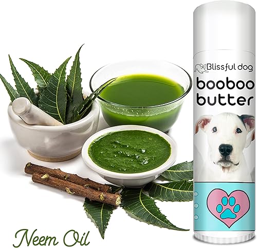 Miniatura 2 de The Blissful Dog Dogo Argentino Boo Boo Mantequilla, 0.50 onzas