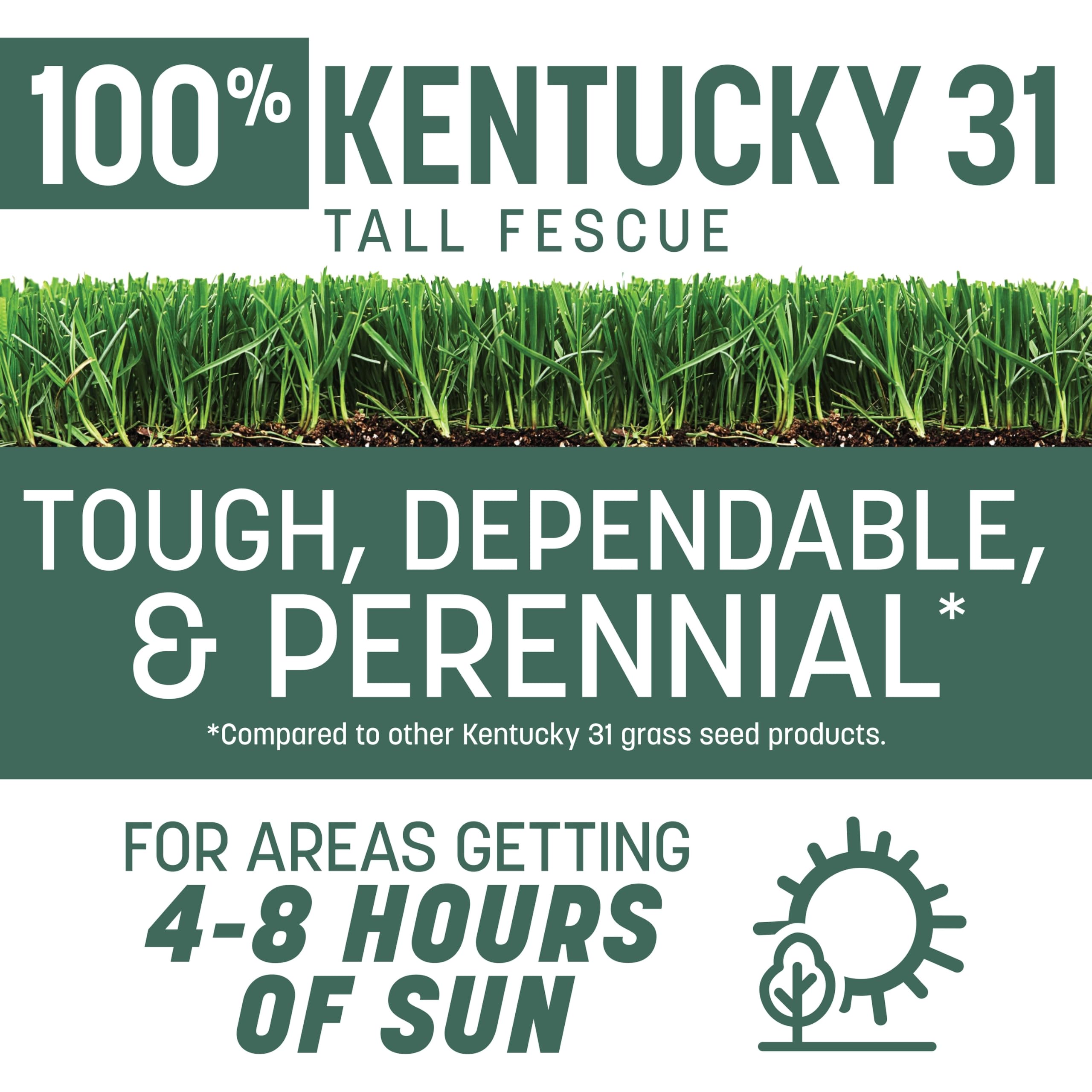 Pennington Kentucky 31 Tall Fescue Penkoted Grass Seed 7 lb