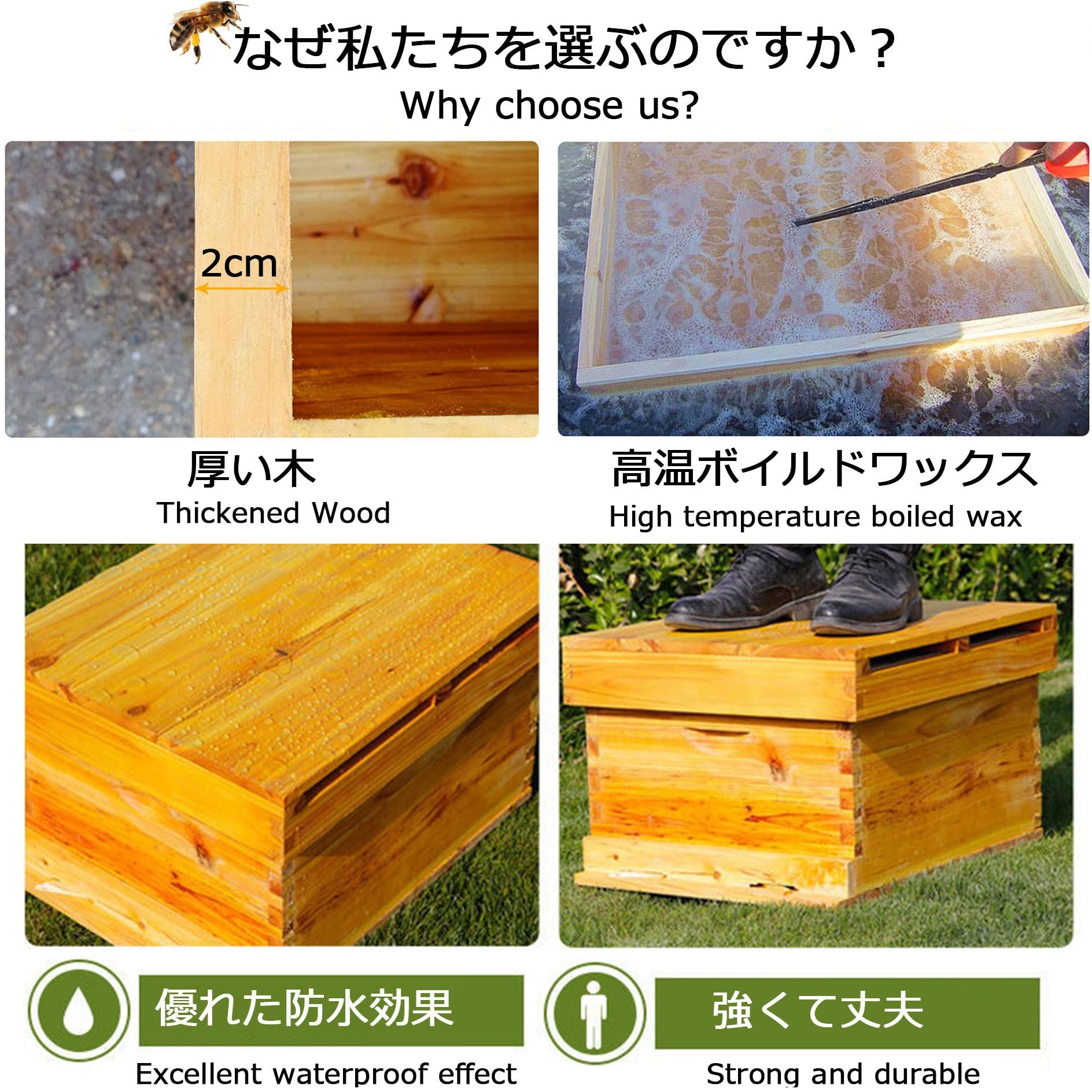 雀蜂の巣 スズメバチ ガラスケース　ハチの巣 オルゴール付きの木箱 Amazon.co.jp: 蜜蜂の巣箱 ミツバチ 巣箱 杉材蜂蜜 巣箱 蜜蜂 巣箱