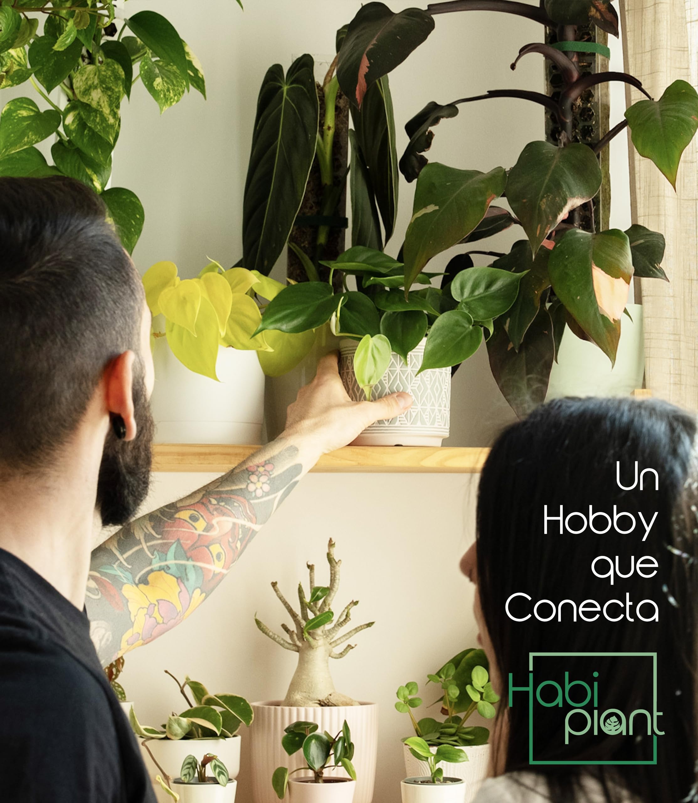 Set 6 Tutores de Musgo para Monstera Plantas Trepadoras de Interior Incluye Musgo Sphagnum 200g y Velcro 5m Tamaños L/M/S Soporte de Plastico Extensible Ideal Pothos Philodendron Aroides