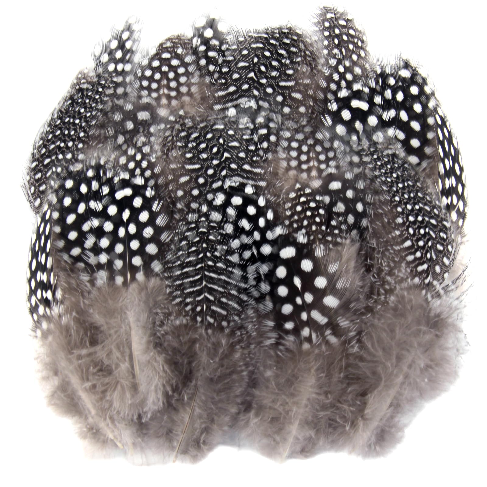 Plumes Loisirs Creatifs, 200 Pièces Naturelles Plume Decoration, Plumes Colorées pour Boucles d'oreilles DIY, Mariage, Attrape-Rêves, Plumes pour Couvre-Chef, Artisanat Scolaire
