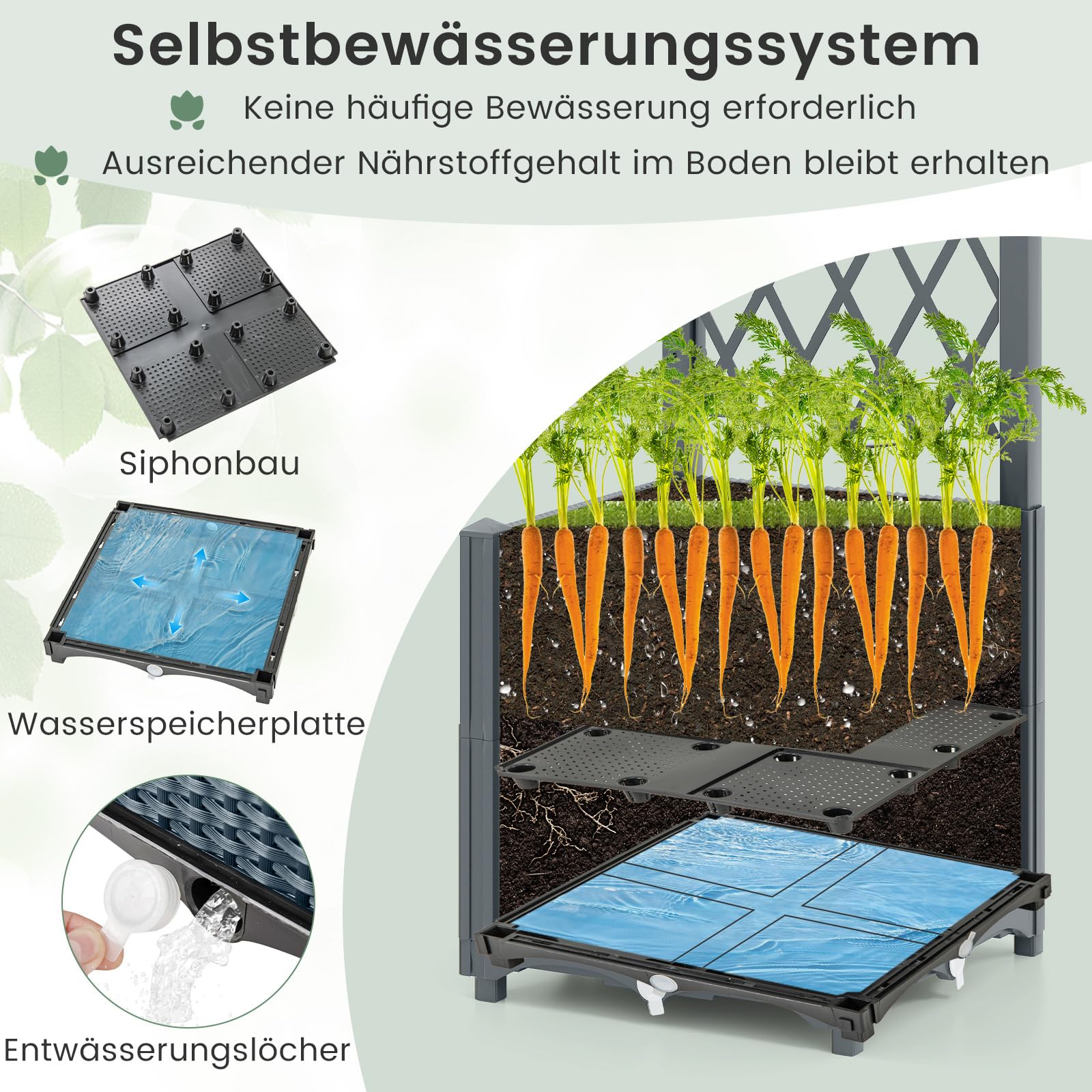 750394_2