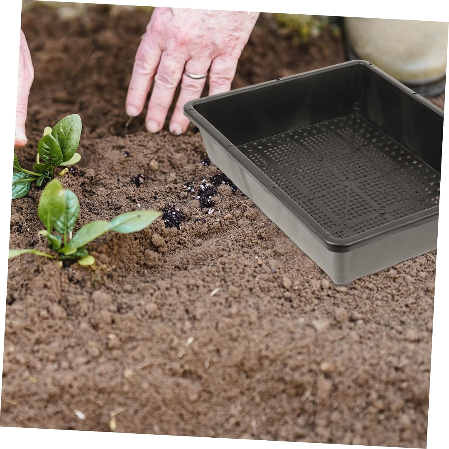 BESPORTBLE 5sets Transparent Plant Growth Box Starter Tray for Germination for Flowers Vegetables and Indoor Gardening