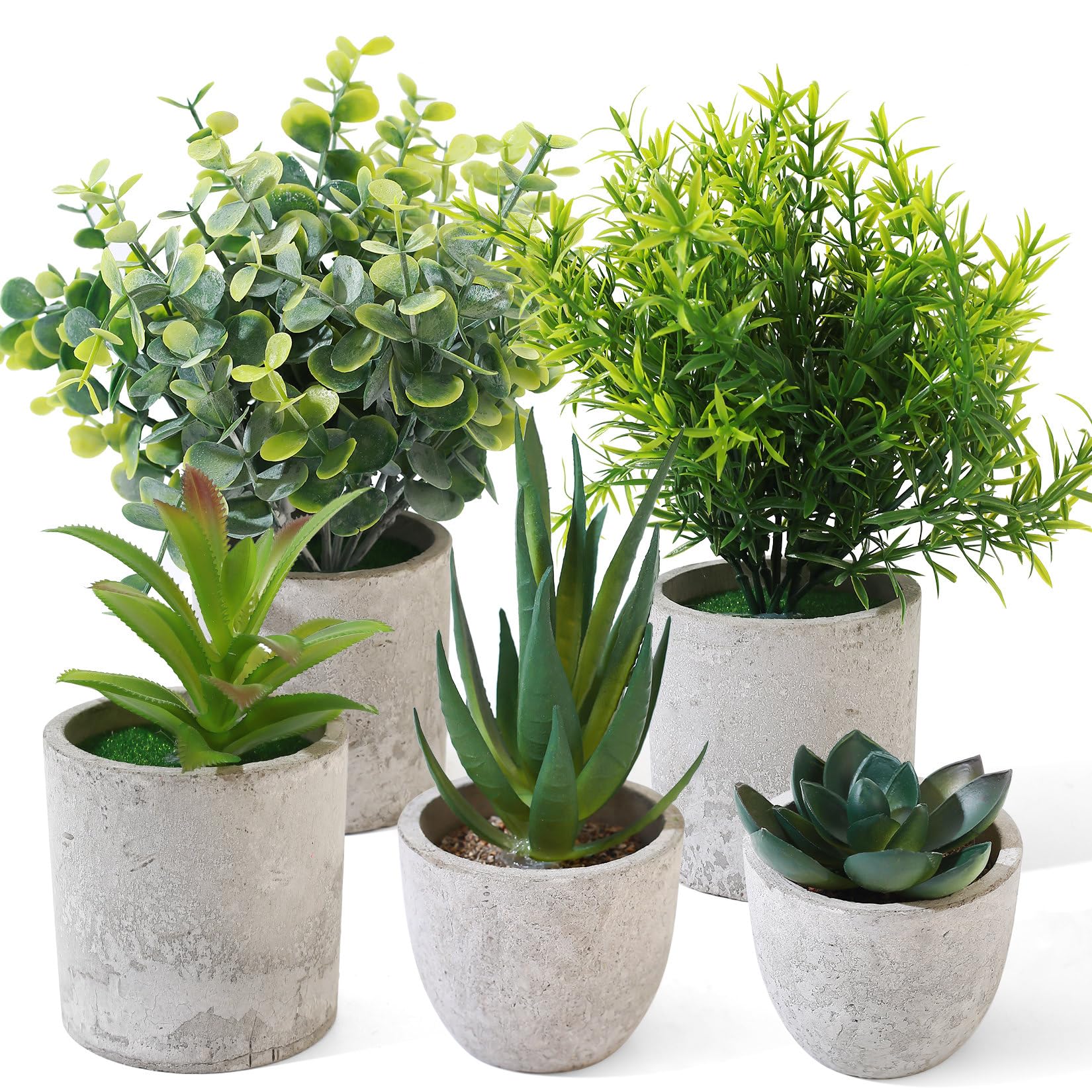 5 Pezzi Piante Finte da Interno, Pianta Finta da Interno, Piccole Piante Artificiali in Vaso, Pianta Finte Serpentine Succulente per Interni, Ufficio, Scrivania, Casa, Camera da Letto, Decorazione