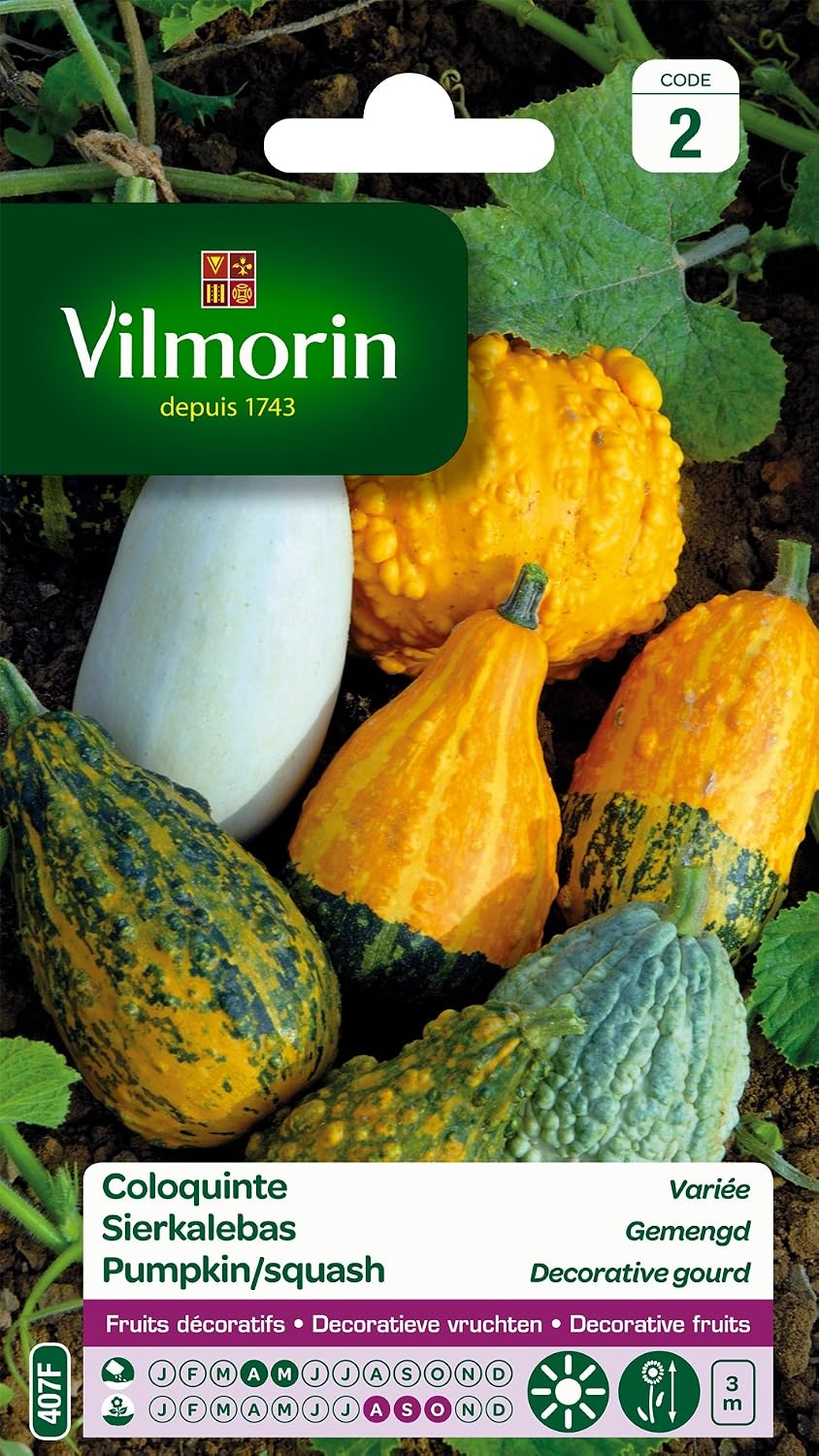 Vilmorin 5237842 Coloquint, Multi-Colour, 90 x 2 x 160 cm