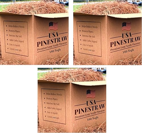 Miniatura 7 de Paja de pino de EE. UU., mantillo de aguja de pino de primera calidad (mantillo de aguja de pino, cubre 100 pies cuadrados, 2 juegos)