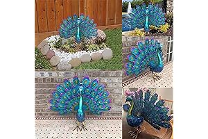 Lifelike Peacock Decor Adds Grace to Any Home
