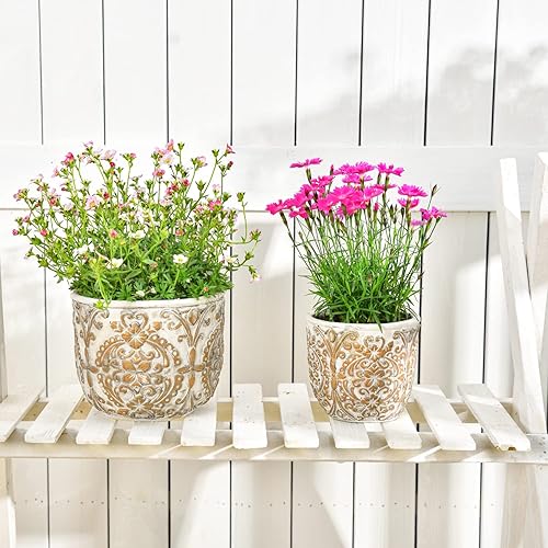 Miniatura 3 de Sungmor Macetas decorativas de cemento para plantas, macetas europeas únicas de concreto en relieve, juego de 2 piezas de 4.3 y 6.1 pulgadas,