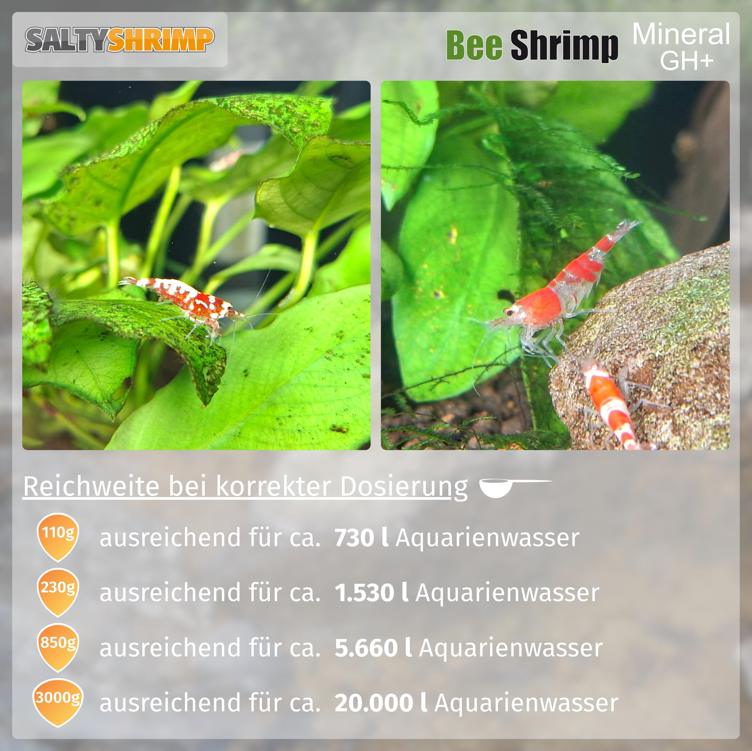 Bee Shrimp Mineral GH+ | 850g – Mineralsalz, speziell für Bienen-, Hummel- und Tigergarnelen entwickelt. Anhebung der Gesamthärte des Wassers