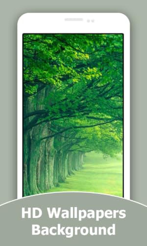 Green HD Wallpapers And Background