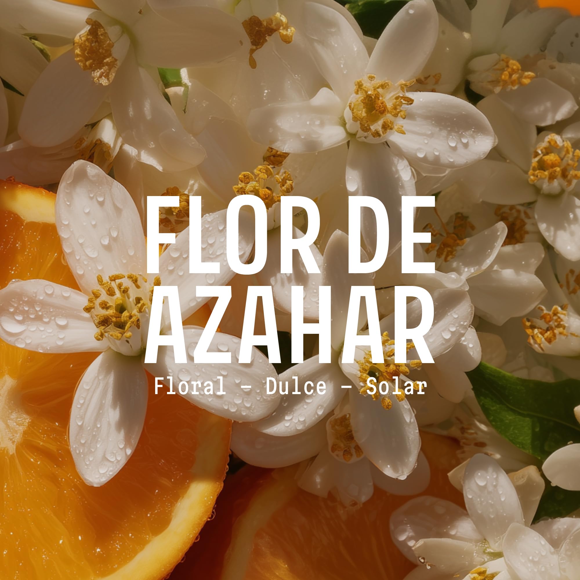Panier des Sens - Jabon de manos liquido Flor de Naranjo 500ml - Jabon de Marsella Hidratante - Jabones perfumados con Aceite de Oliva - Pieles Secas - Jabón francés