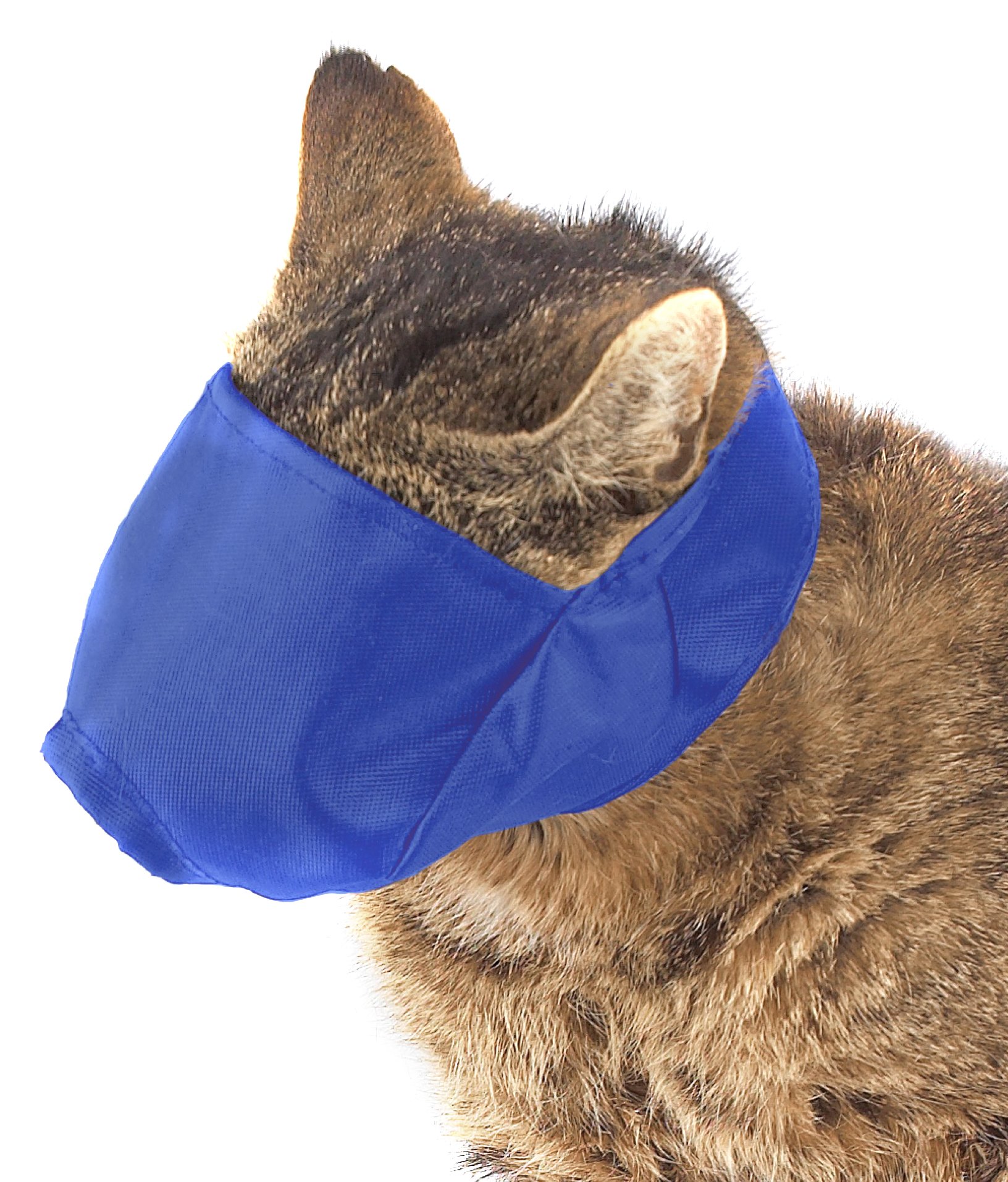 cat muzzle nylon