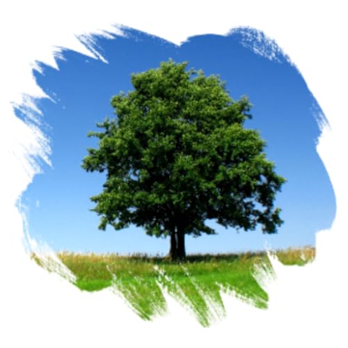 The Manual of Genealogy