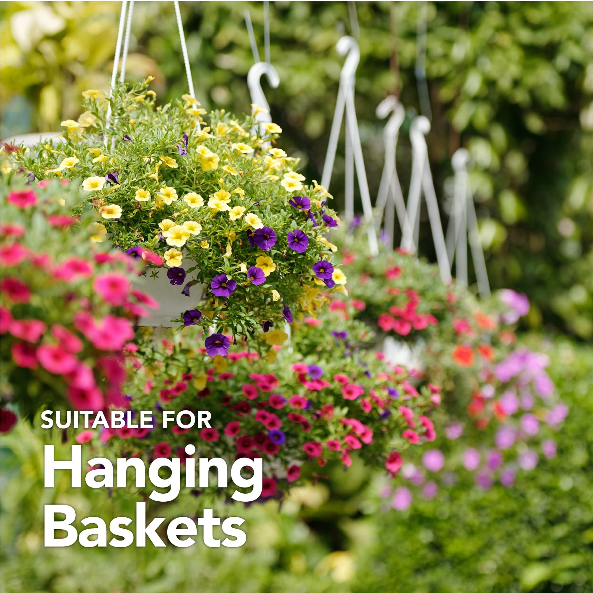 View 4