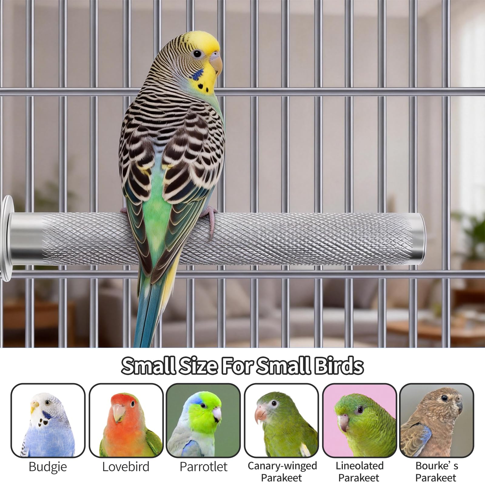 AOTU Percha grande de acero inoxidable para loros, soporte para pájaros, para jaula, percha duradera para cortar picos y garras para pájaros, accesorio de jaula de loro (L: 30 x 3 cm)