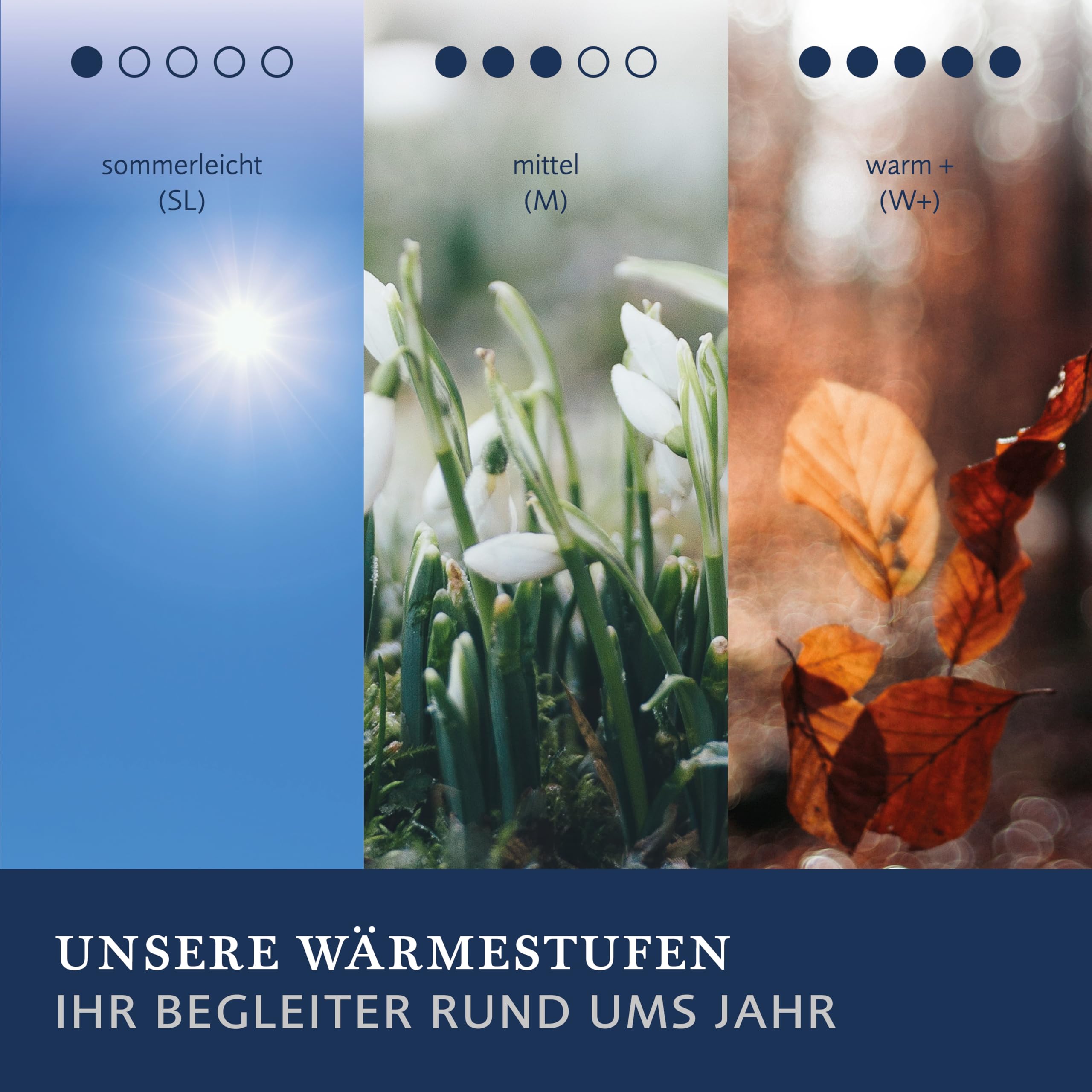 Billerbeck Bettdecke Meisterklasse – ca. 135 x 200 cm – Winterdecke – warme Decke für den Winter – aus Schafschurwolle