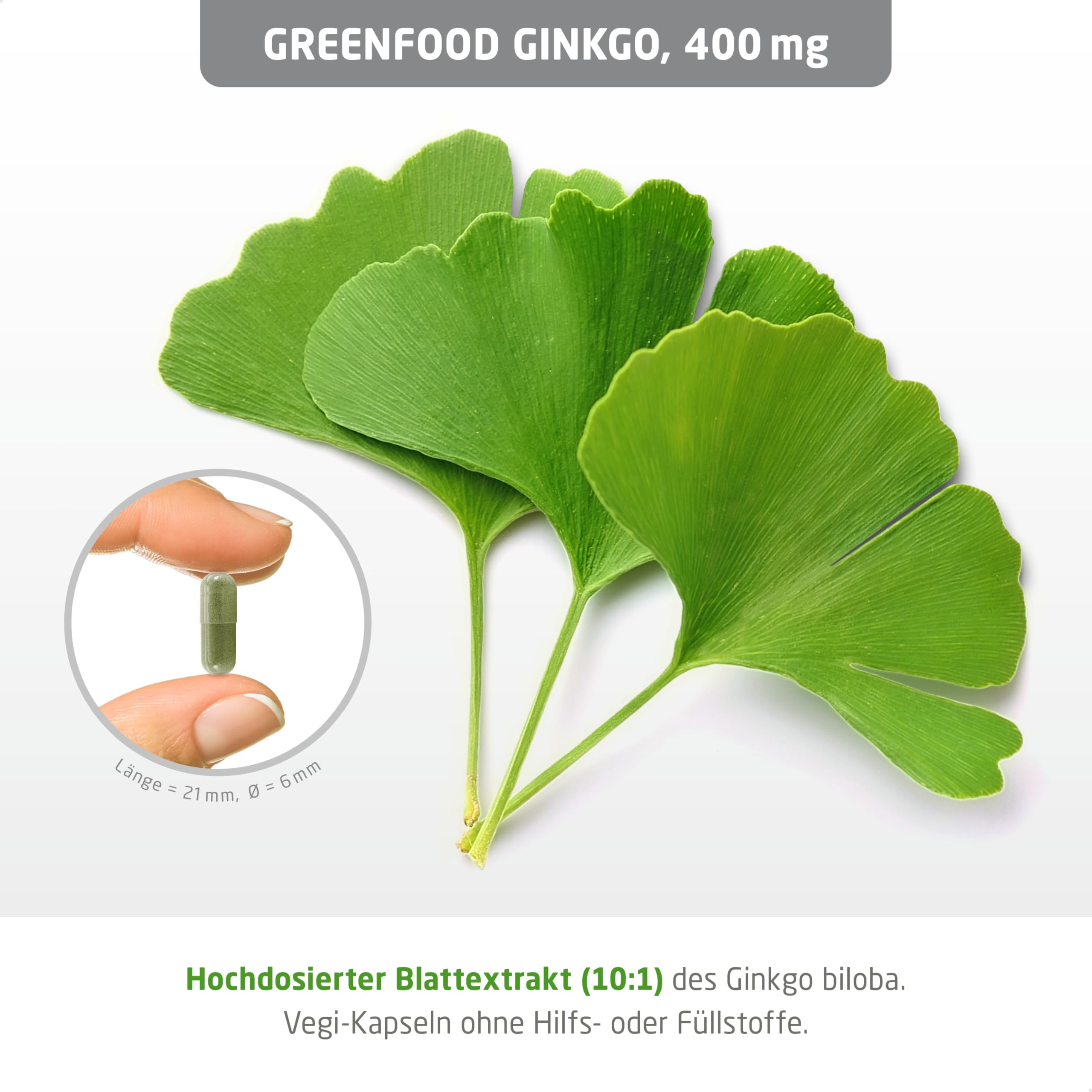 Ginkgo Biloba, hochdosiert, 400 mg - 120 Kapseln, vegan. Reiner Blatt-Extrakt mit Vitamin B5 - unterstützt die kognitive Funktion. OHNE künstliche Zusätze, laborgeprüft. Von Greenfood.