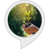 cuidador de plantas
