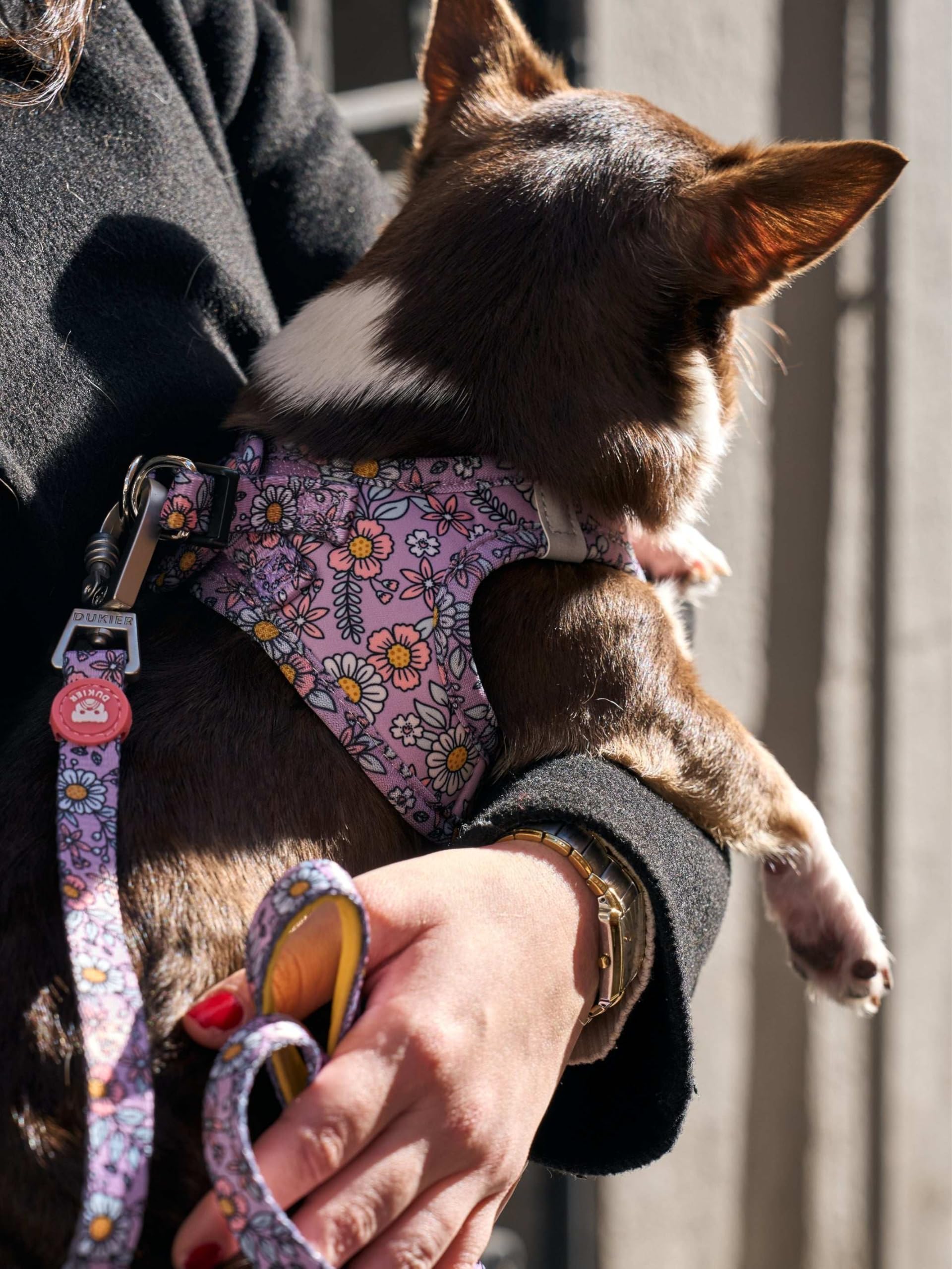 DUKIER - Arnés de Cuerpo para Perro, Chaleco Body Antirones, Ajustable y Resistente para Mascotas, de Malla Transpirable, Diseño Flower Power, Talla XL