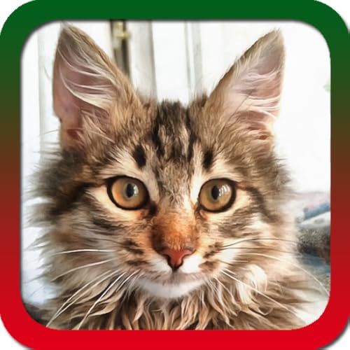 Animals Ringtones