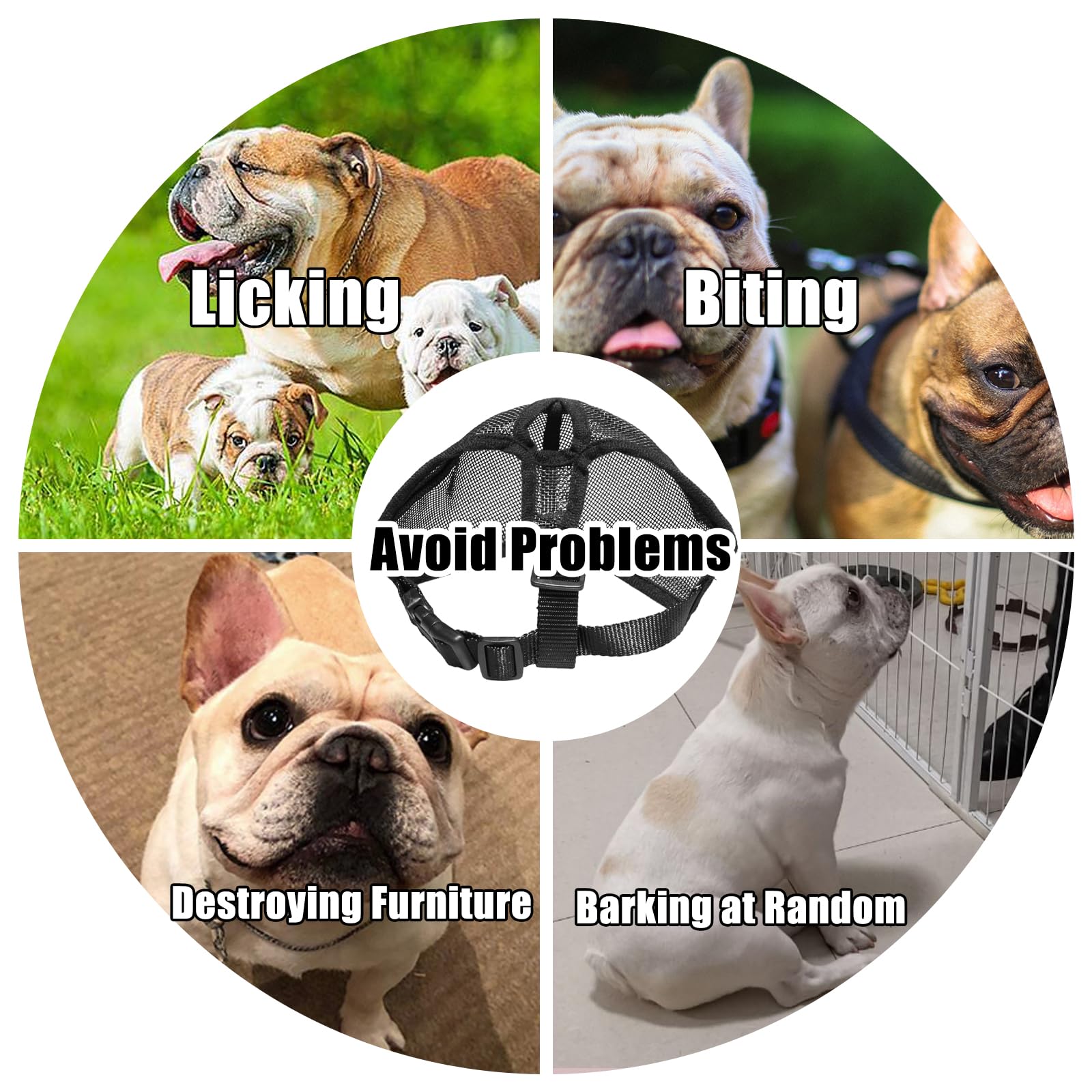 Museruola Maschera Antimorsata Piatta per Cani a Muso Breve, Bulldog Francese, Shih Tzu e Pug