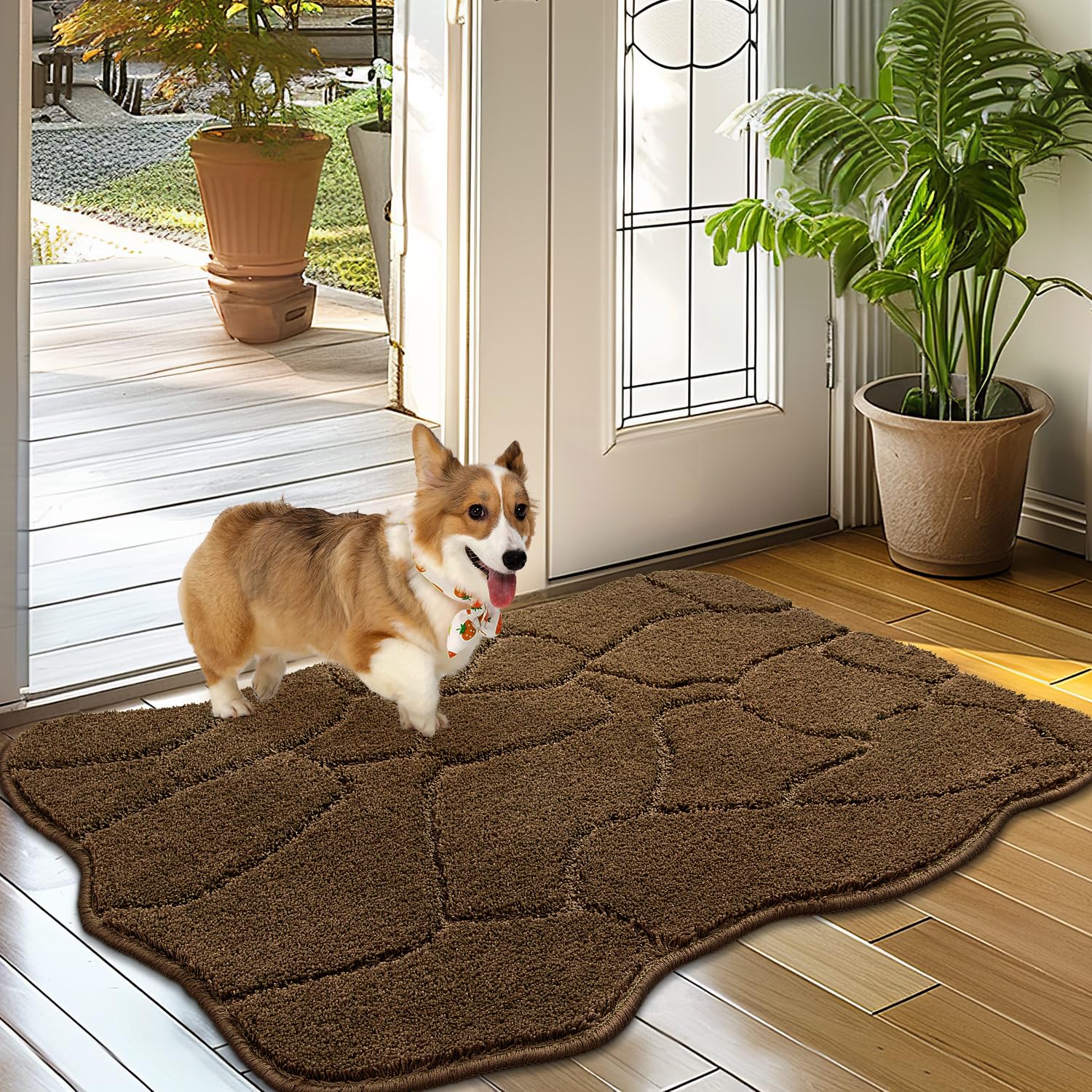 Biscpro Fußmatte Innen Weicher 50 x 80 cm, rutschfeste Waschbar Türmatte, Schmutzfangmatte Sauberlaufmatte,Eingangstürmatte,Fussmatte für Hund, Eingang, Haustür,Flur