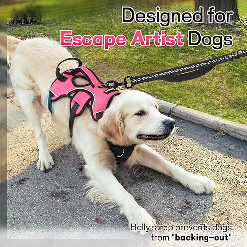 Miniatura 3 de rabbitgoo Arnés para perro a prueba de escapes, arnés suave acolchado de cuerpo completo para mascotas, chaleco reflectante ajustable sin tirones