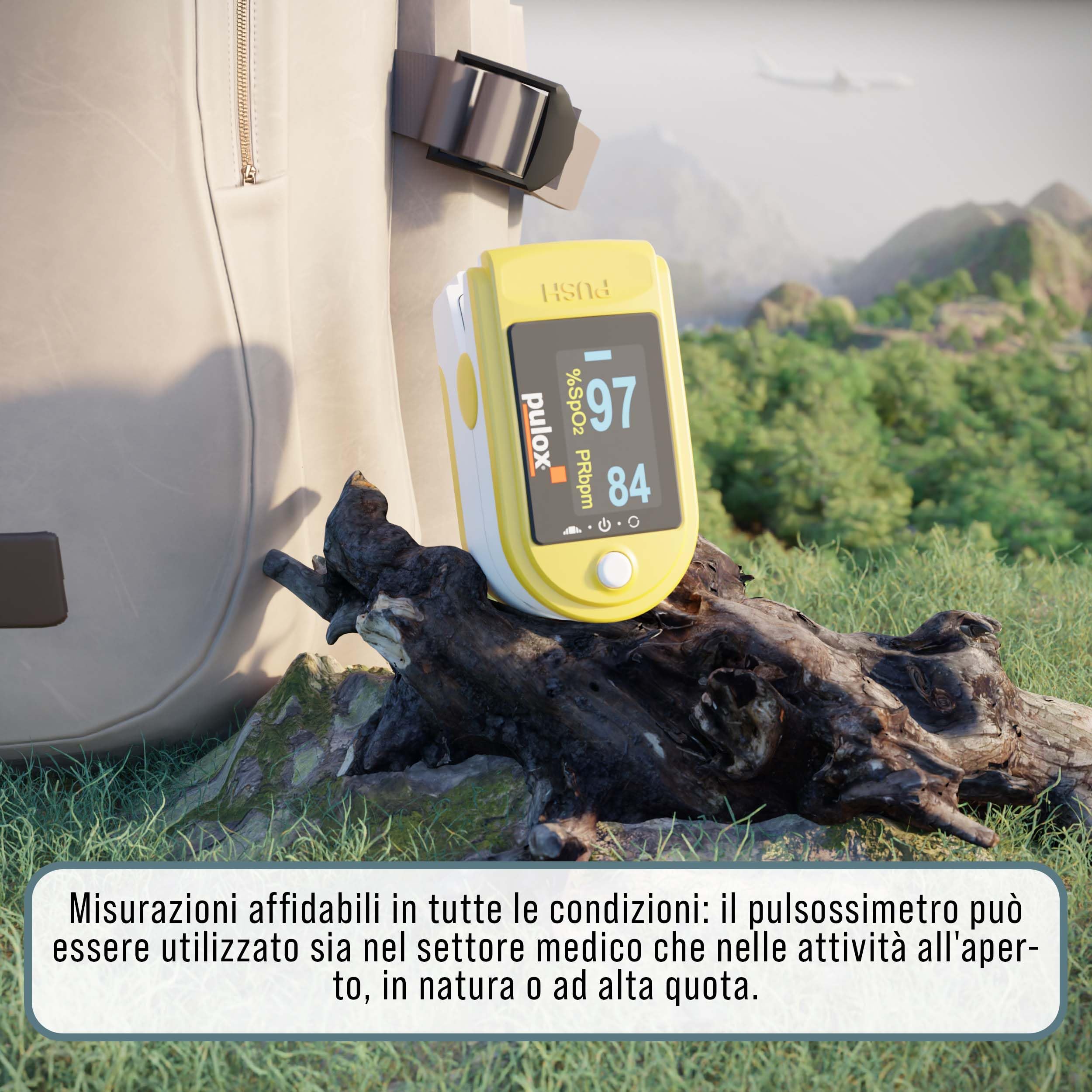 Pulsossimetro Pulox PO-200 Set - Saturimetro da dito professionale con custodia, borsa, batterie e cordino - Misurazione di SpO2, polso e PI sul dito