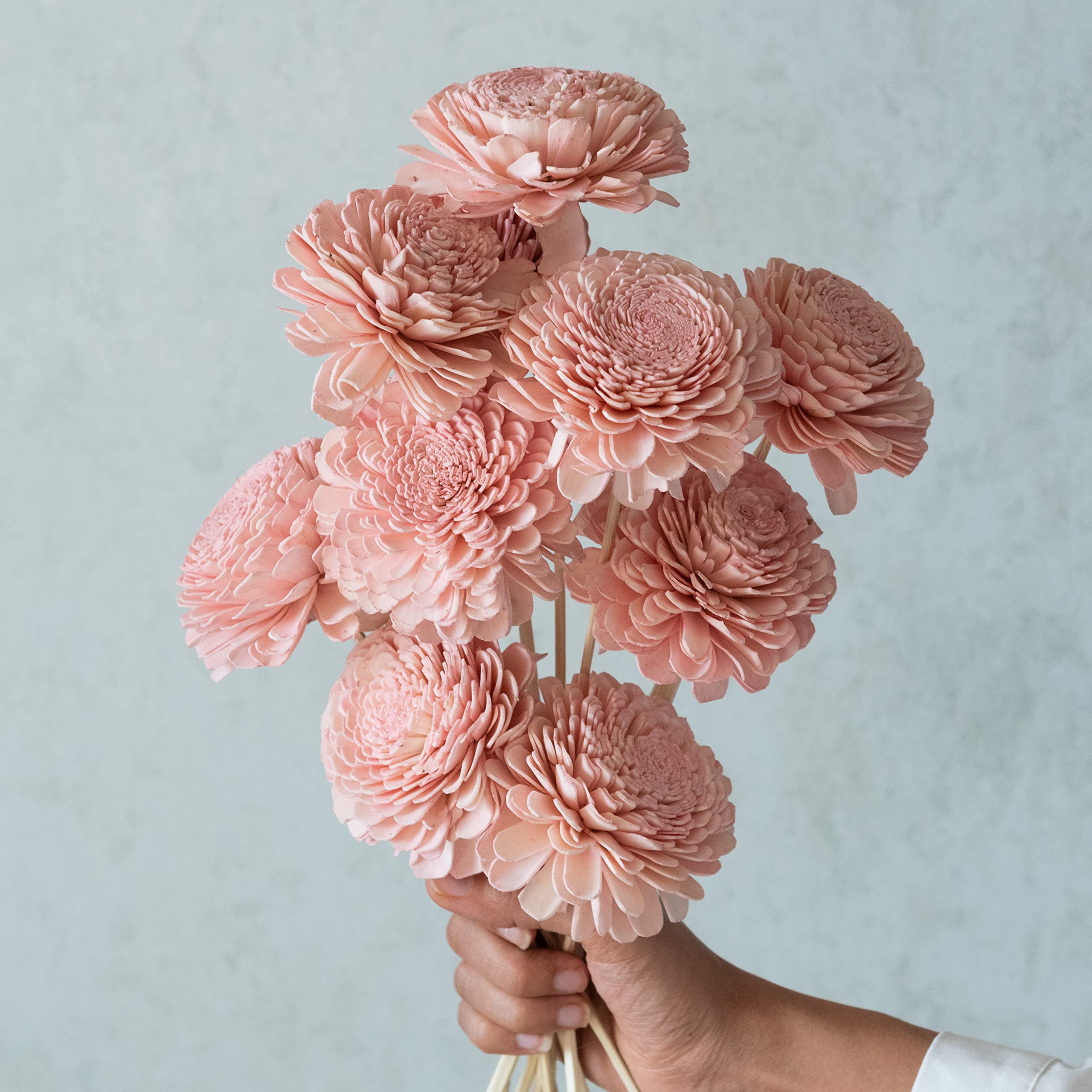 Flowers and Fillers || Pink Sola Belly Flowers On Stem | Natural Dried Flower | Eco-Friendly Flowers for Home, Office, Bedroom, Table Decoration and Craft Items Corner (Without Vase Pot) 2