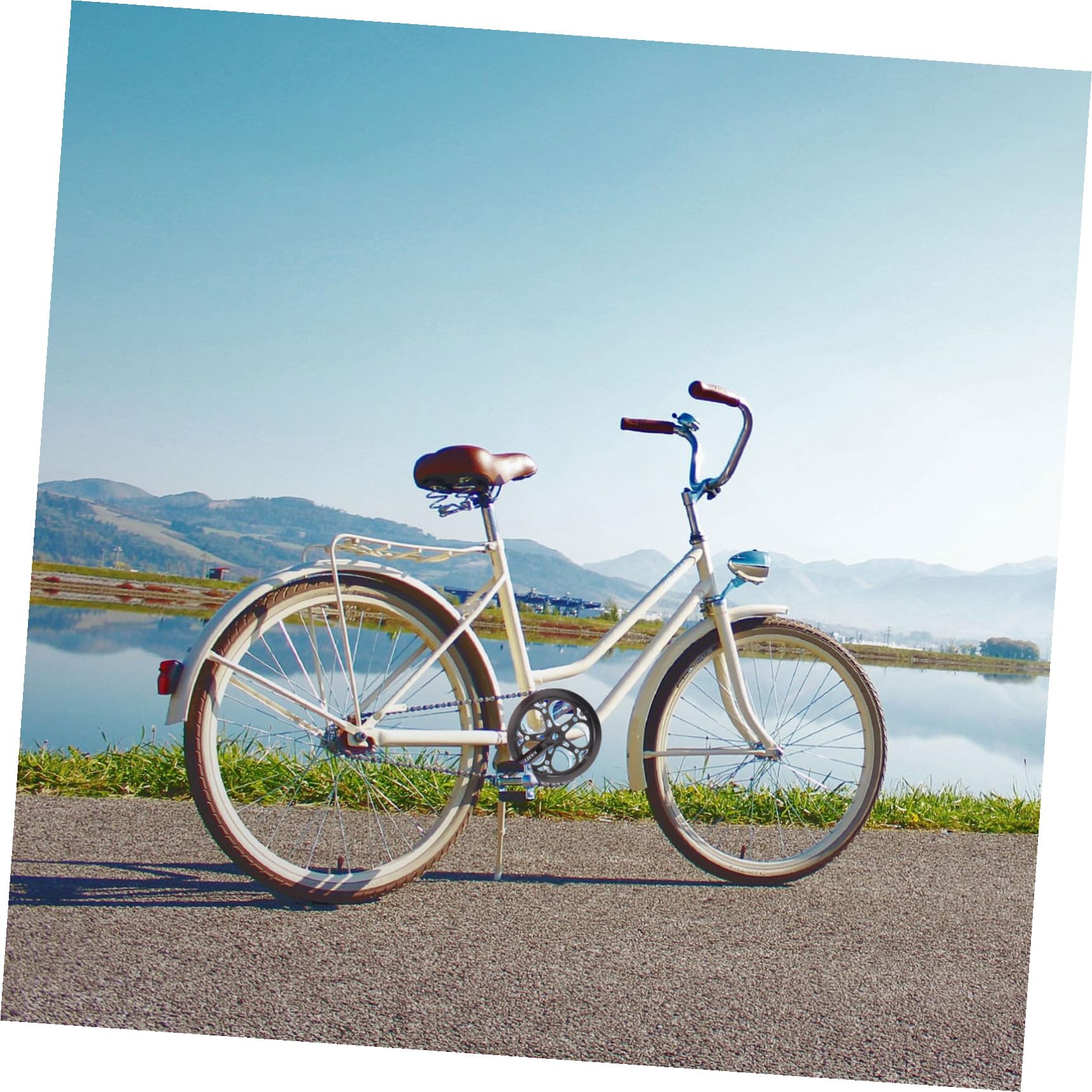 Alasum Guarnitura Singola per Bici Catena 52t in Ferro, Resistente all'Usura, Braccio Pedivella 170mm, Facile da Installare, Accessorio per Biciclette Nere
