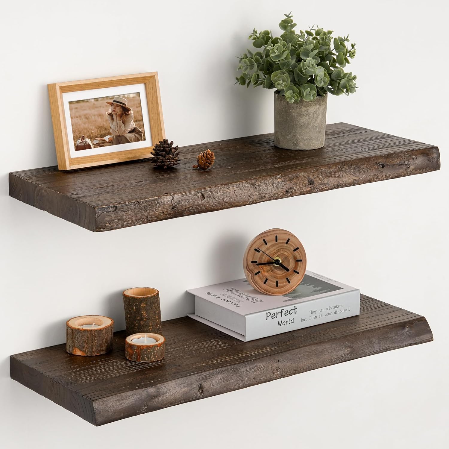 Floating Shelves Set of 2, Solid Elm Wood Wall Shelves 24 Inch - Invisible Bracket Mount for Living Room, Bedroom, Kitchen, Bathroom - Brown Brown Elm Live Edge, 24"L, 2Packs