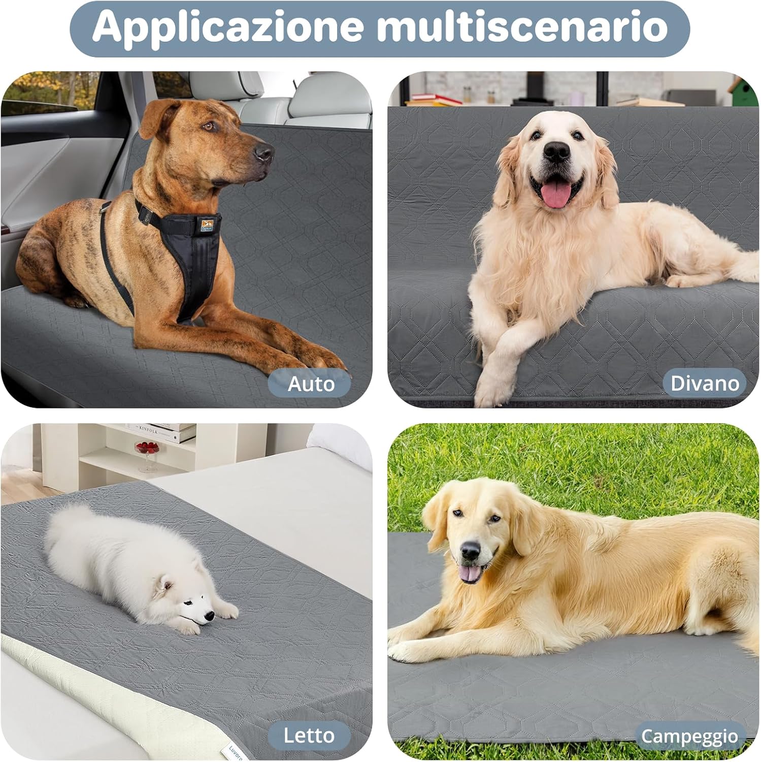 81I6NqqeQJL. AC SL1500 -