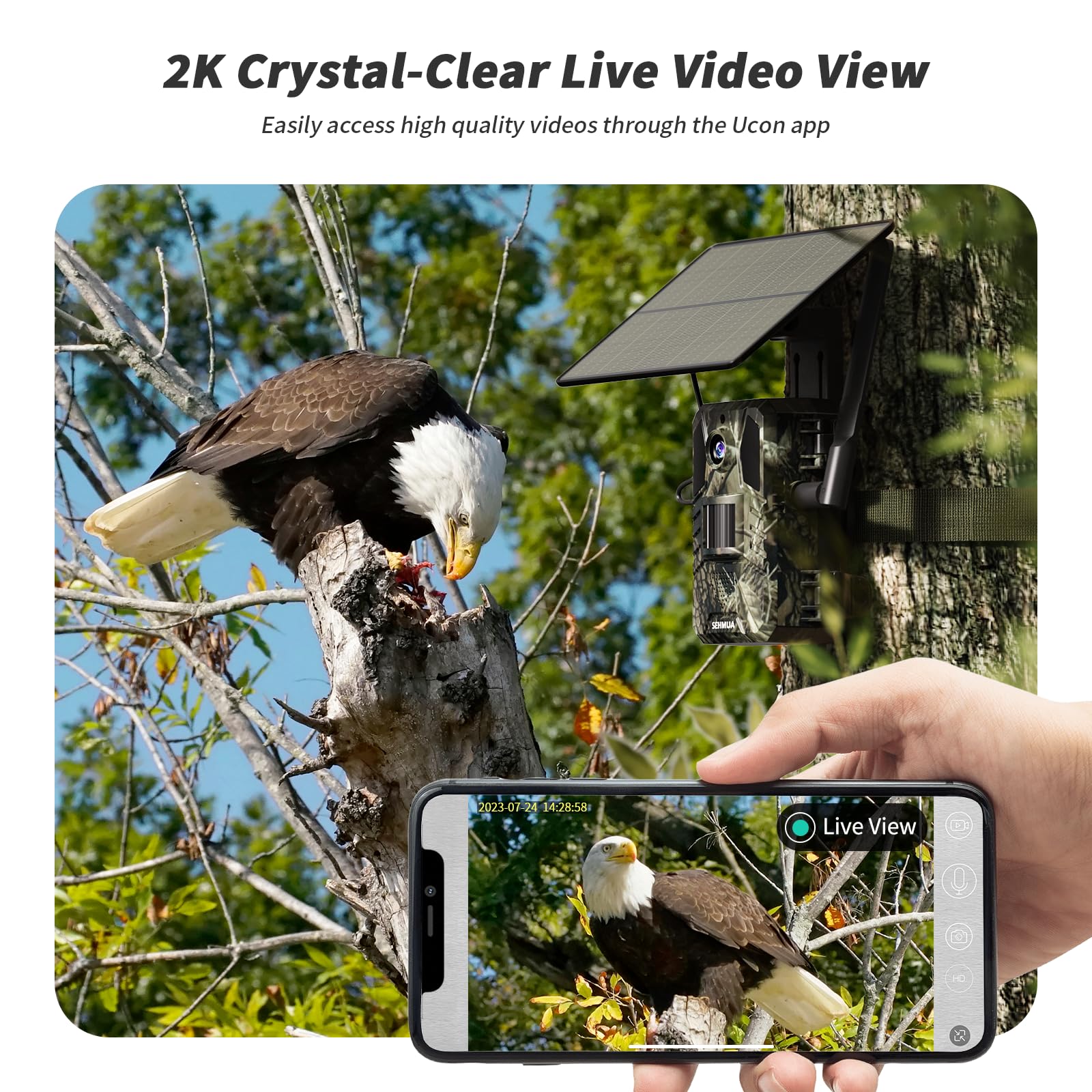 Snapklik.com : SEHMUA 4G LTE Cellular Trail Cameras 2 Pack, 3rd Gen ...