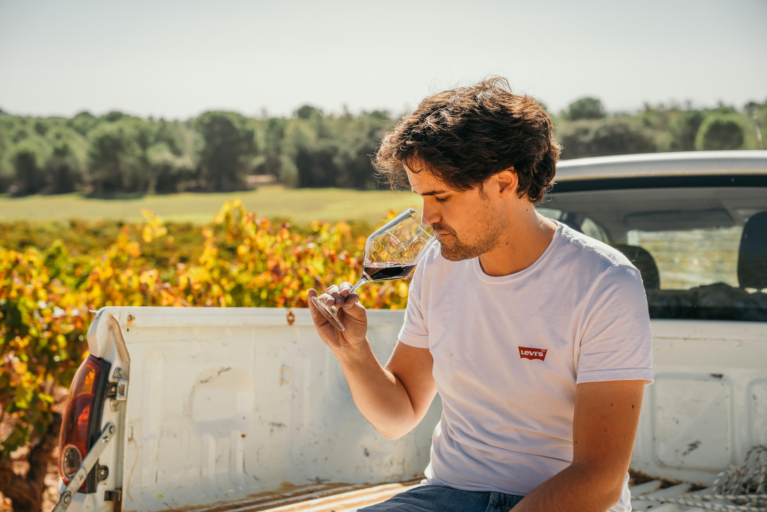 Cair Cuvée- Vino Tinto con D.O. Ribera del Duero - Variedad de Uva Tempranillo y Merlot - Notas de Fruta Roja y Tonos Florales - Crianza durante 10 meses - Incluye Estuche - 6 Botellas de 75 cl