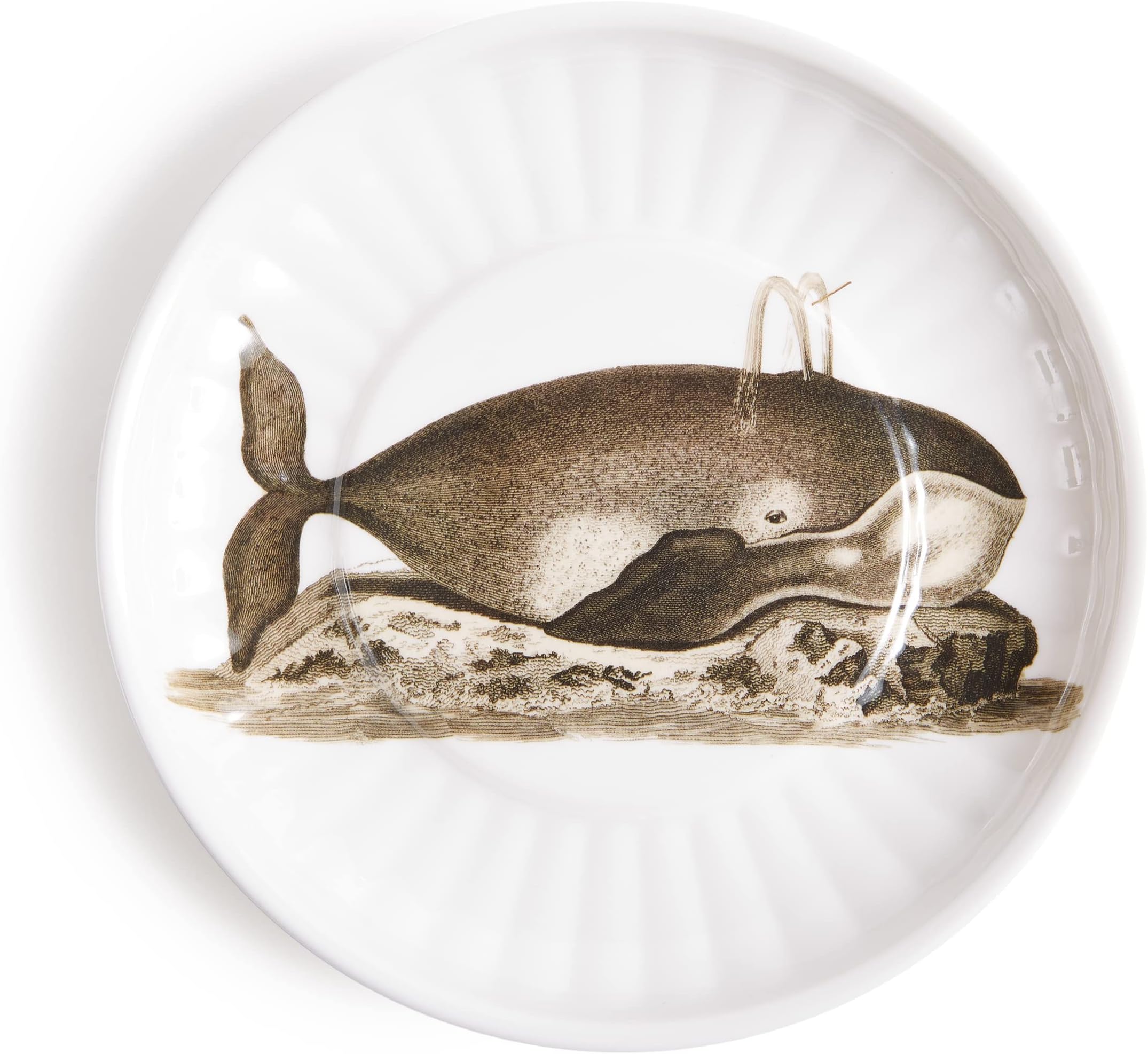 Thomas Paul Whale SM. Paper Plates Set of 4