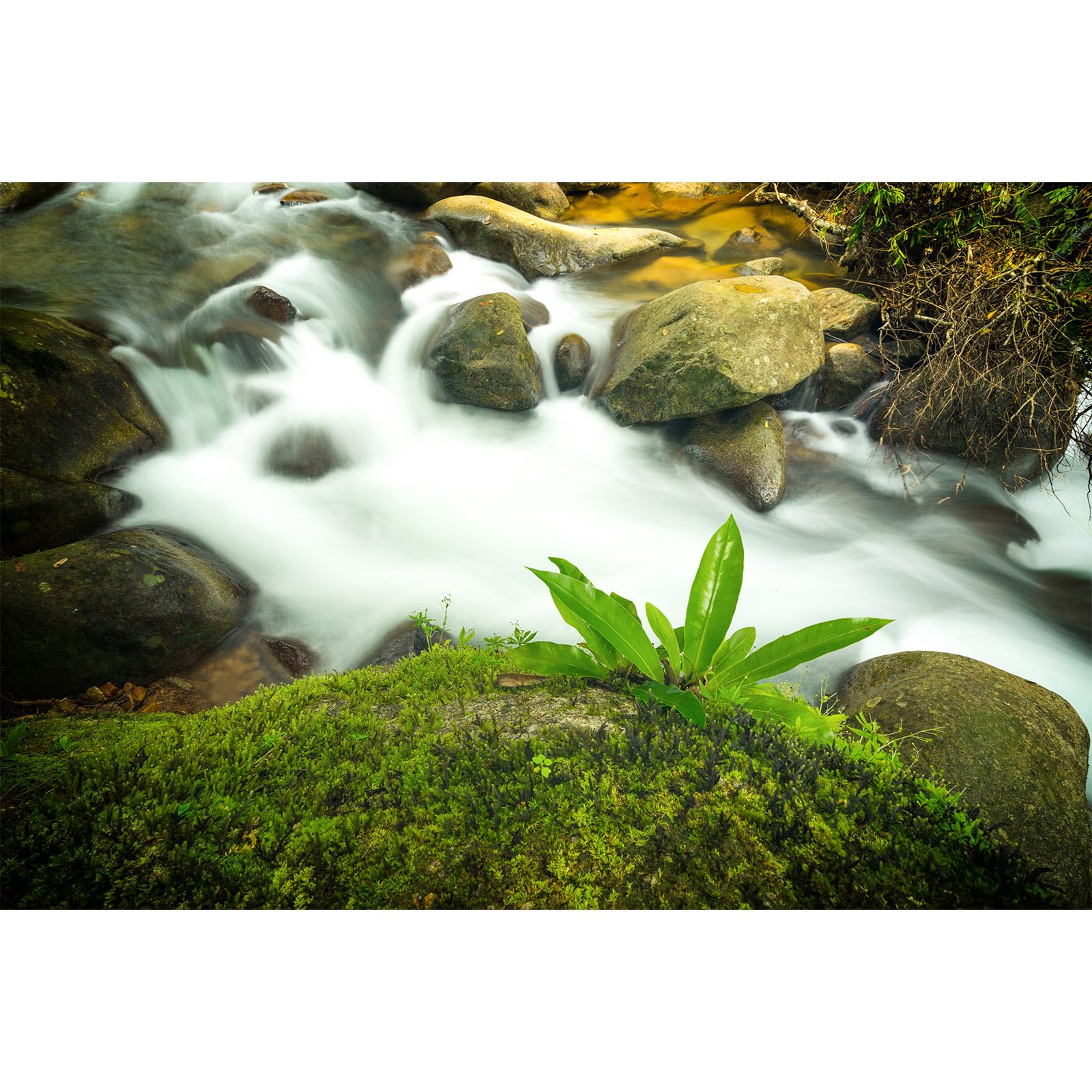 Stream Aquarium Background Rock River Green Grass Fish Tank Background Green Meadow Waterfall Big Rocks Reptile Tank Background Natural Streams Landscape Reptile Enclosure Backgrounds 24x16in