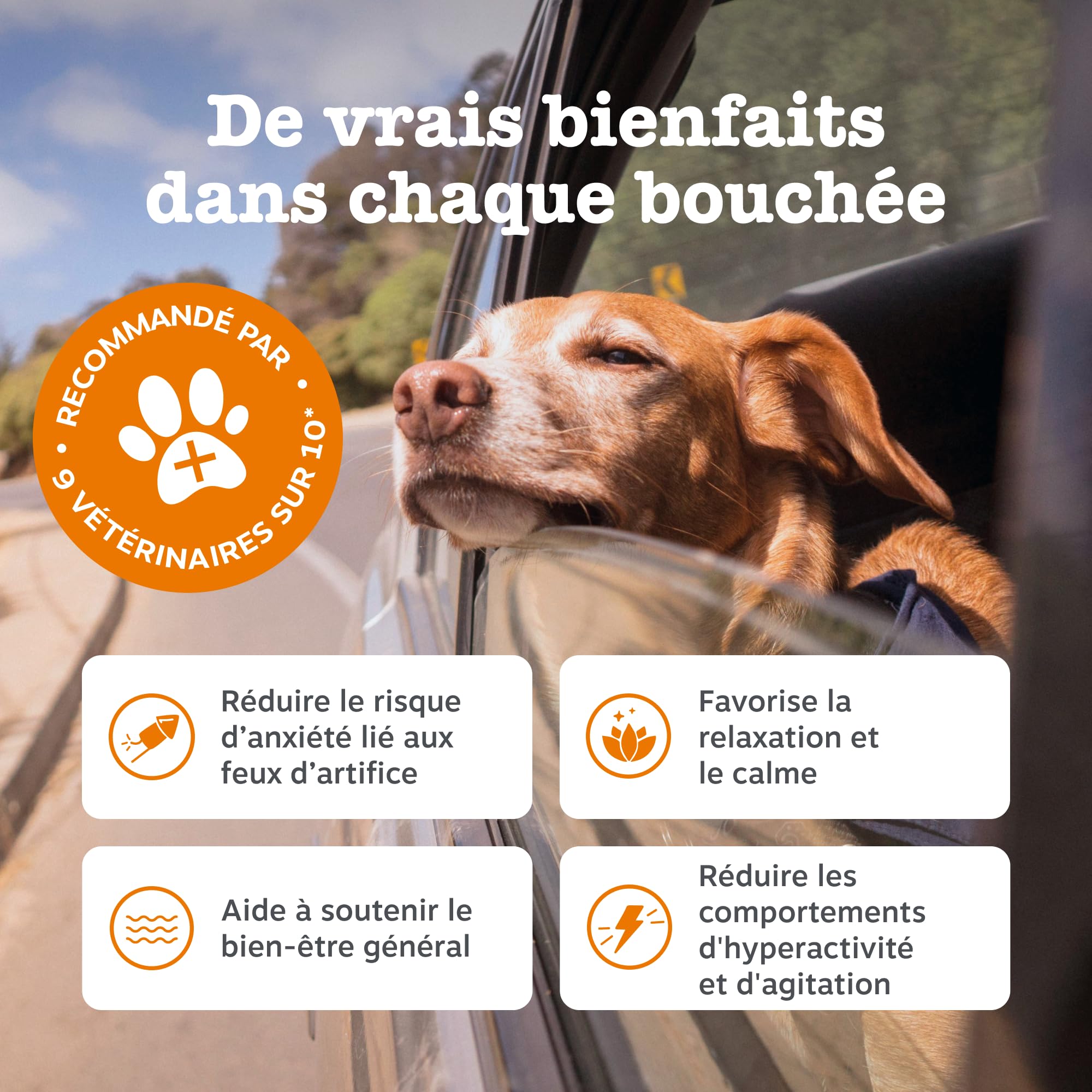 Zesty Paws Bouchées Relaxantes Chien | Calme, Détente et Bien-être | Contre Le Stress, Hyperactivité et Anxiété de Séparation | Thé Vert, Ashwagandha, L-Tryptophane | Usage Quotidien | 90 Bouchées
