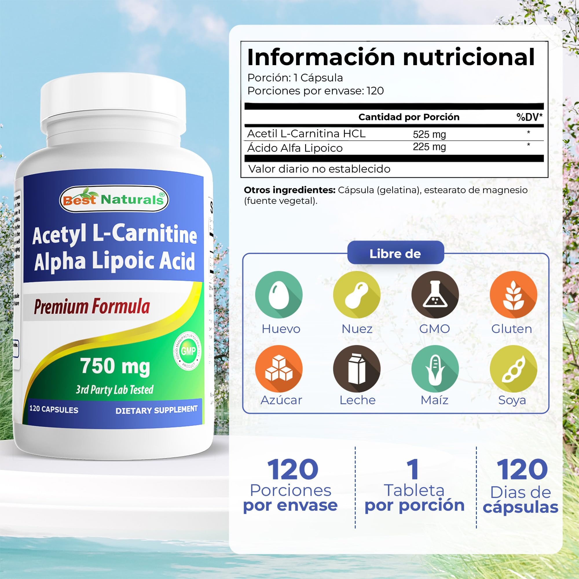 BEST NATURALS - Acetyl L-Carnitine (Acetil L-Carnitina) con Ácido Alfa Lipoico 750 mg - 120 cápsulas - Fórmula antioxidante celular