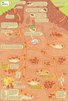 Under Water, Under Earth: Mizielinska, Aleksandra, Mizielinski Under Water, Under Earth: Mizielinska, Aleksandra, Mizielinski